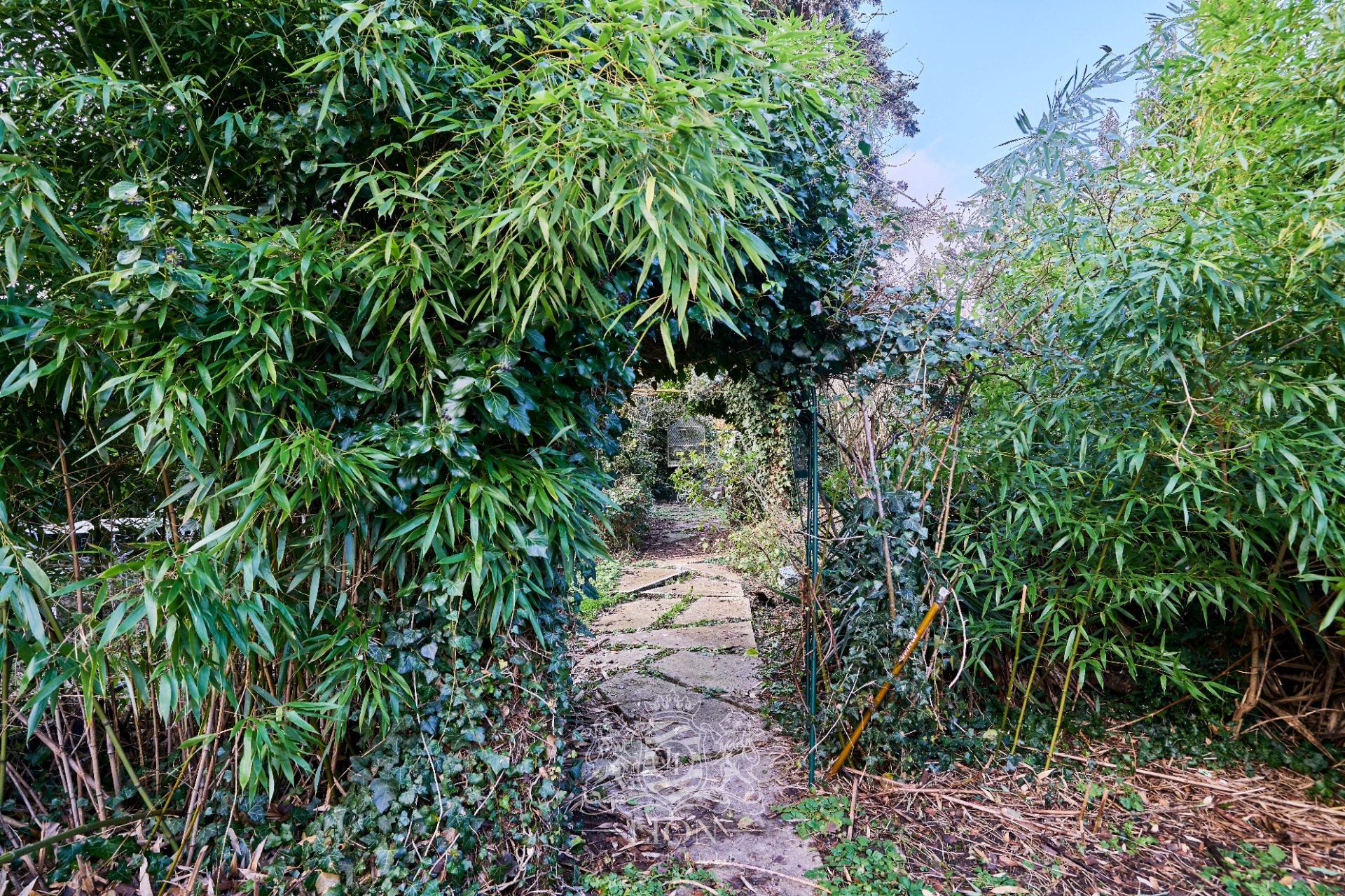 Propriete reunissant deux maisons avec jardin Photo 17 - Le Lion Immobilier