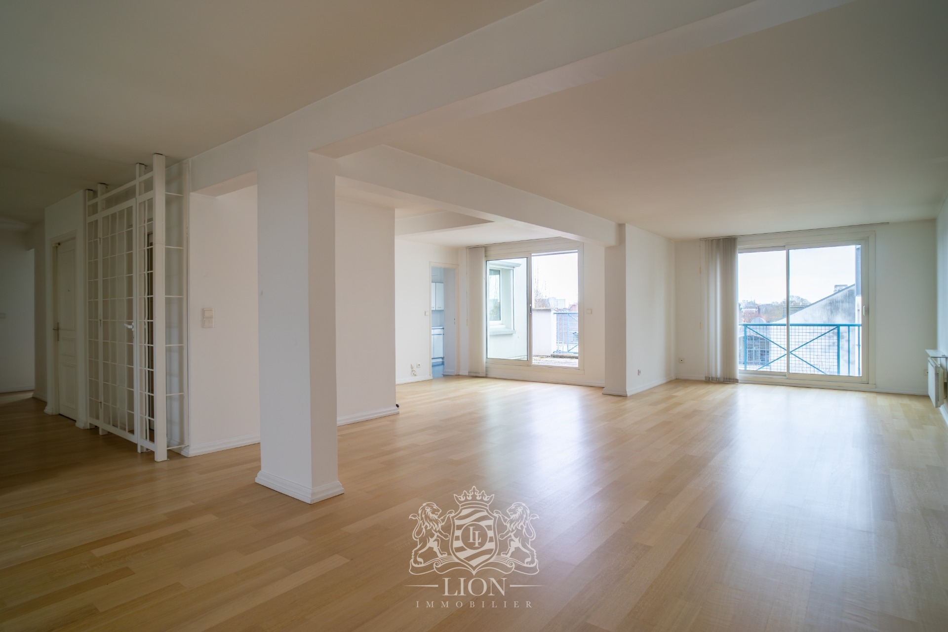 Appartement 3 ou 4 chambres dernier etage terrasse garage  Photo 3 - Le Lion Immobilier