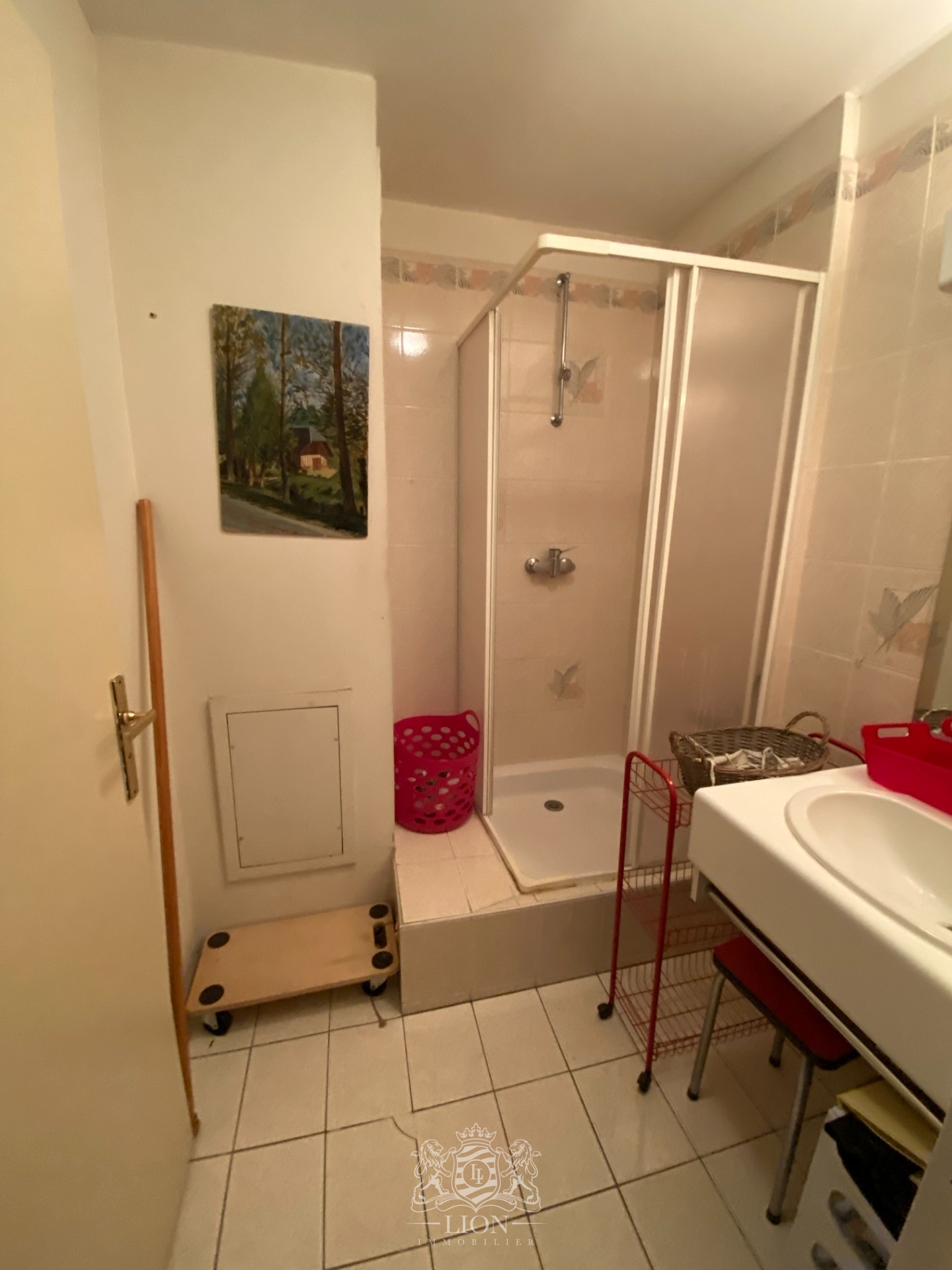 Lille st maur appartement 147 m2 4 chambres garage terrasse Photo 10 - Le Lion Immobilier