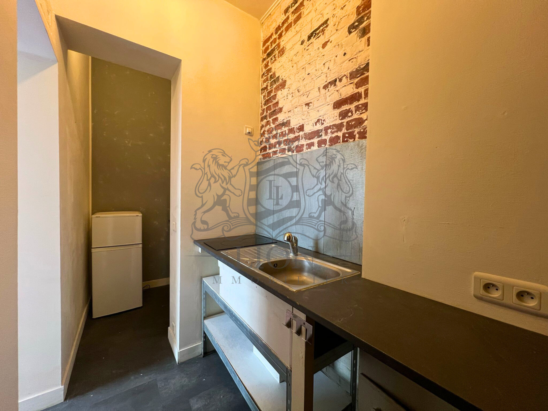 Appartement t2 hyper centre republique Photo 7 - Le Lion Immobilier