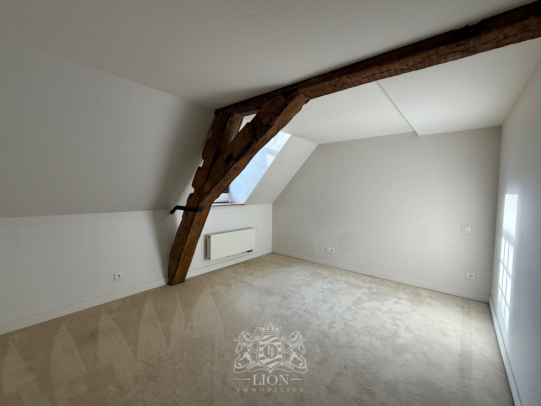 Aoqc vieux lille appartement de type 3 bis Photo 9 - Le Lion Immobilier