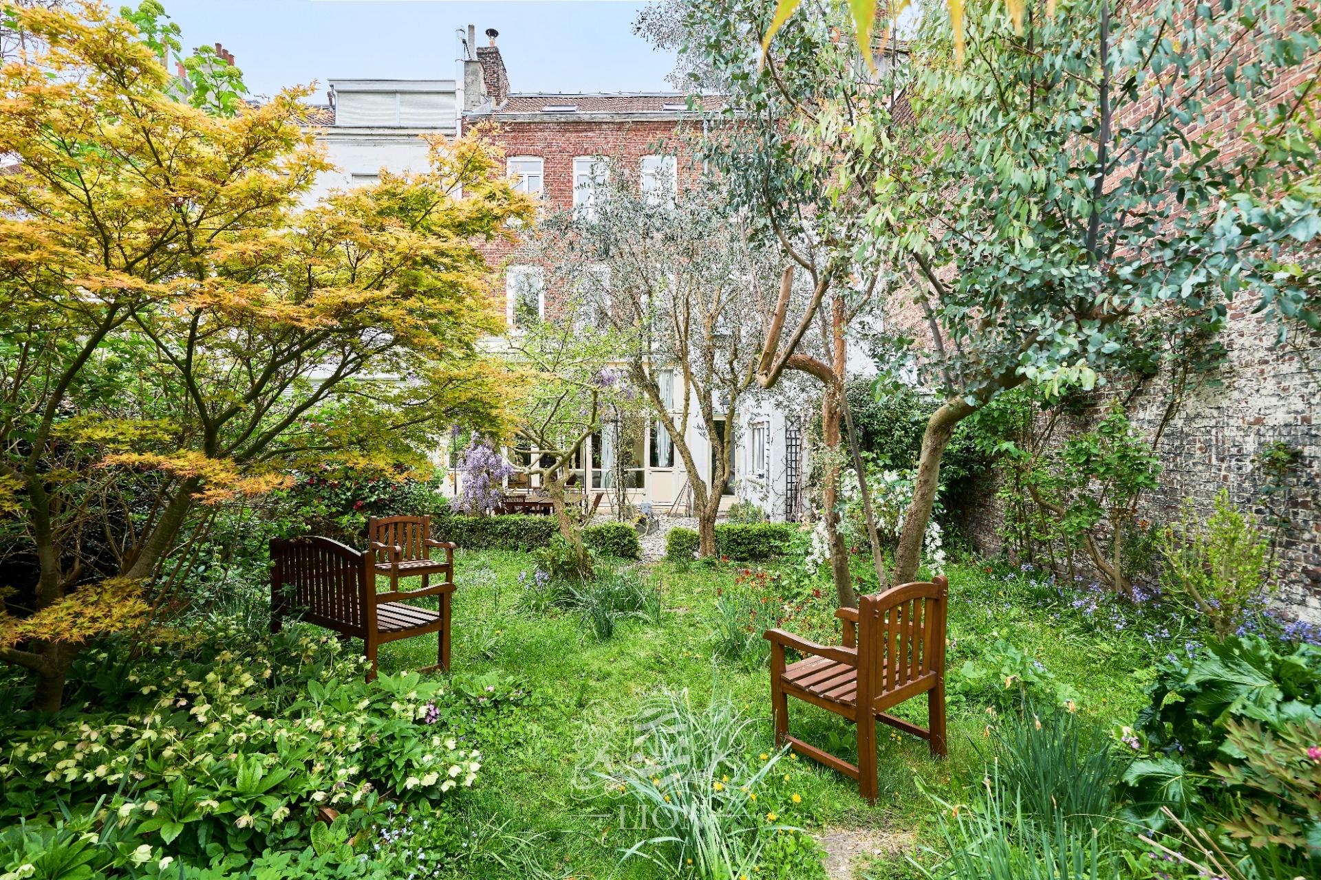 Lille saint michel  maison de famille  beau jardin arbore Photo 2 - Le Lion Immobilier