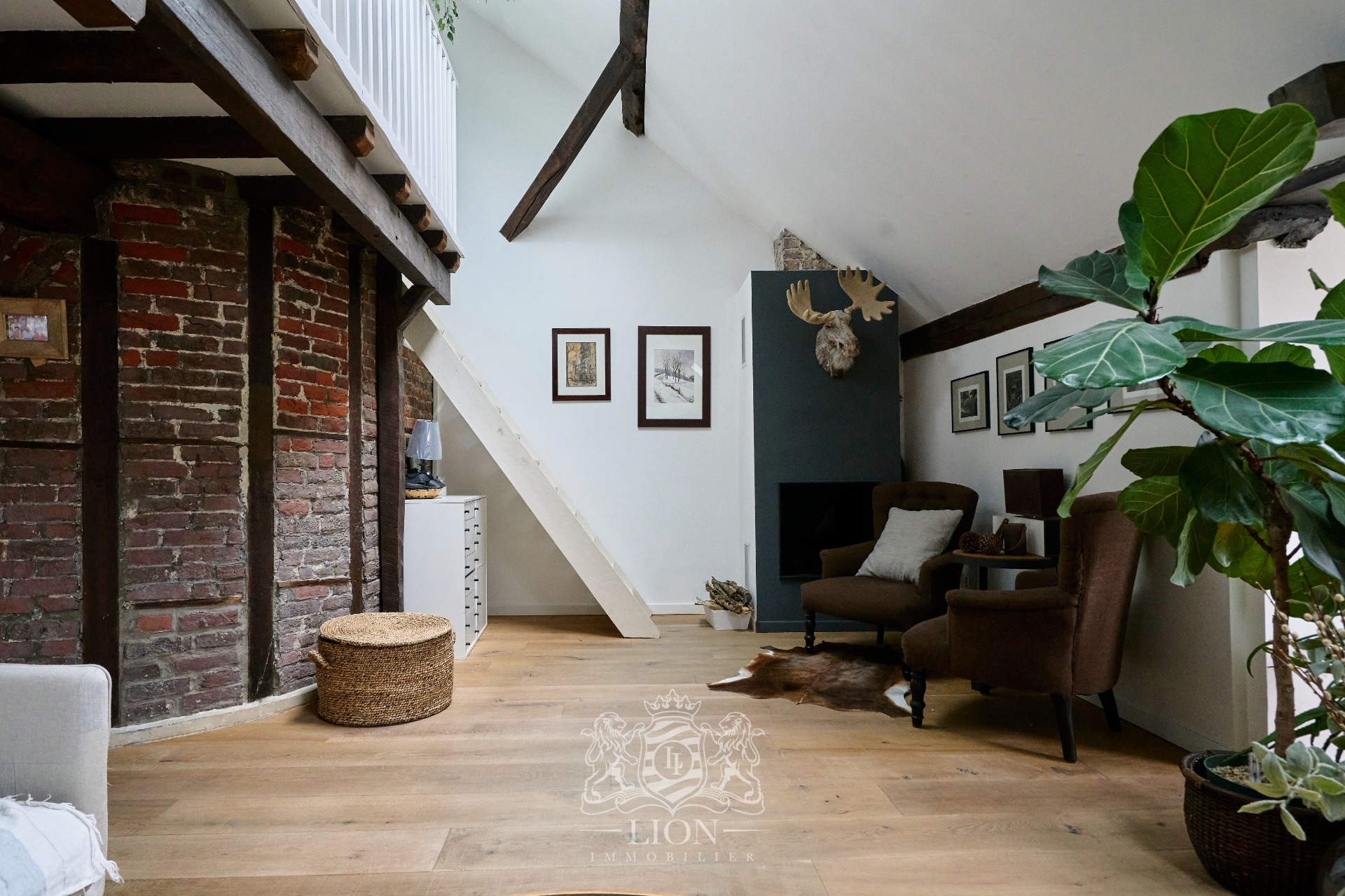 Appartement dernier etage deux chambres possibilite garage Photo 3 - Le Lion Immobilier Appartement dernier etage deux chambres possibilite garage Photo 3 - Le Lion Immobilier