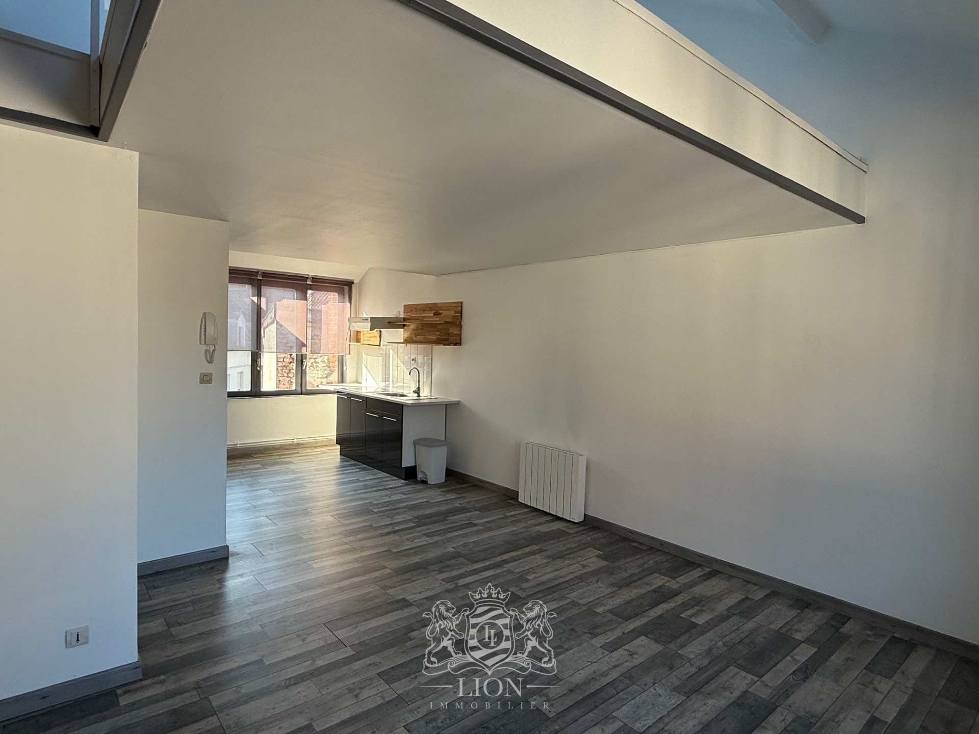 Aozp vieux lille t1 bis avec mezzanine Photo 3 - Le Lion Immobilier