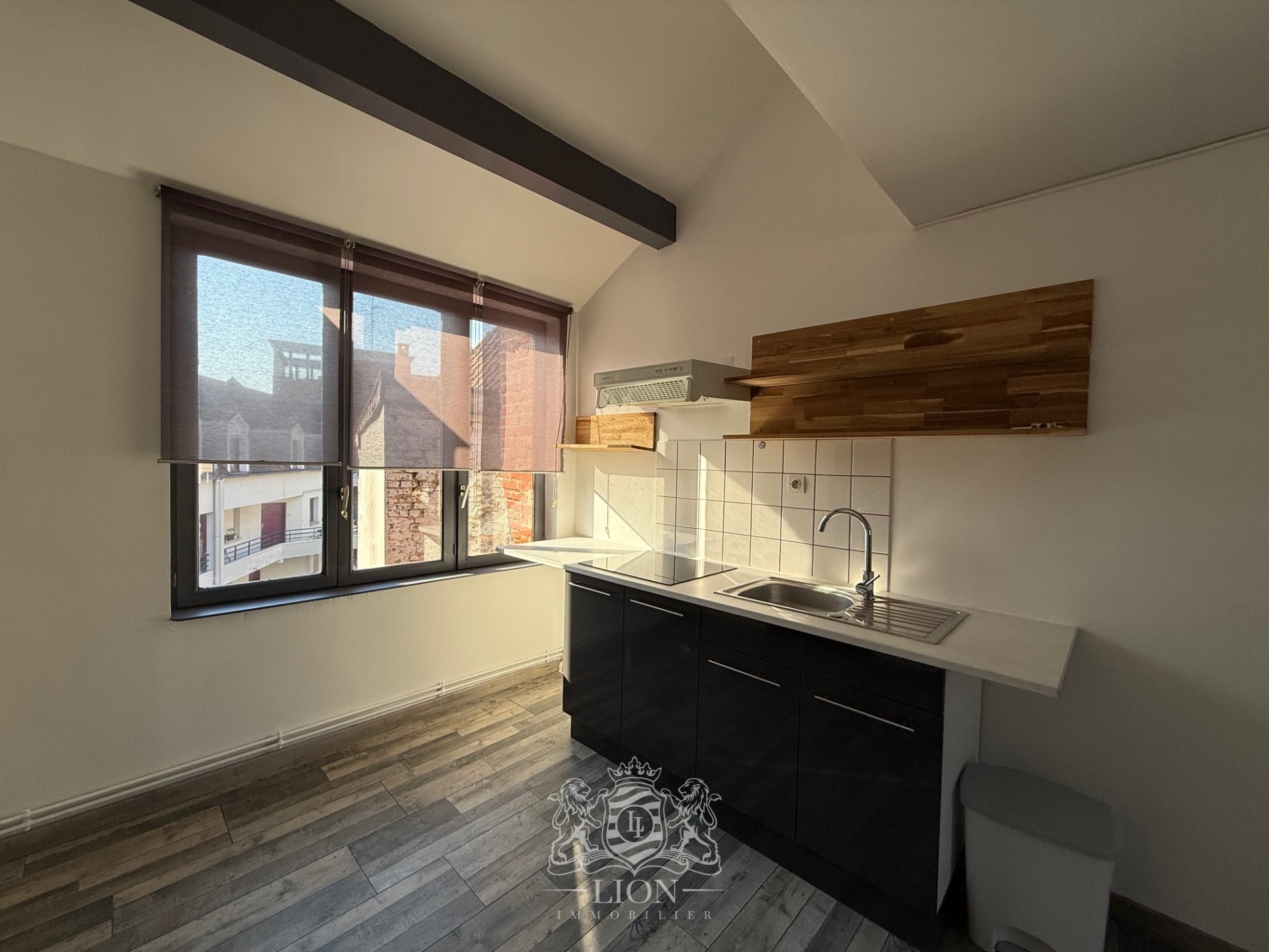 Aozp vieux lille t1 bis avec mezzanine Photo 4 - Le Lion Immobilier