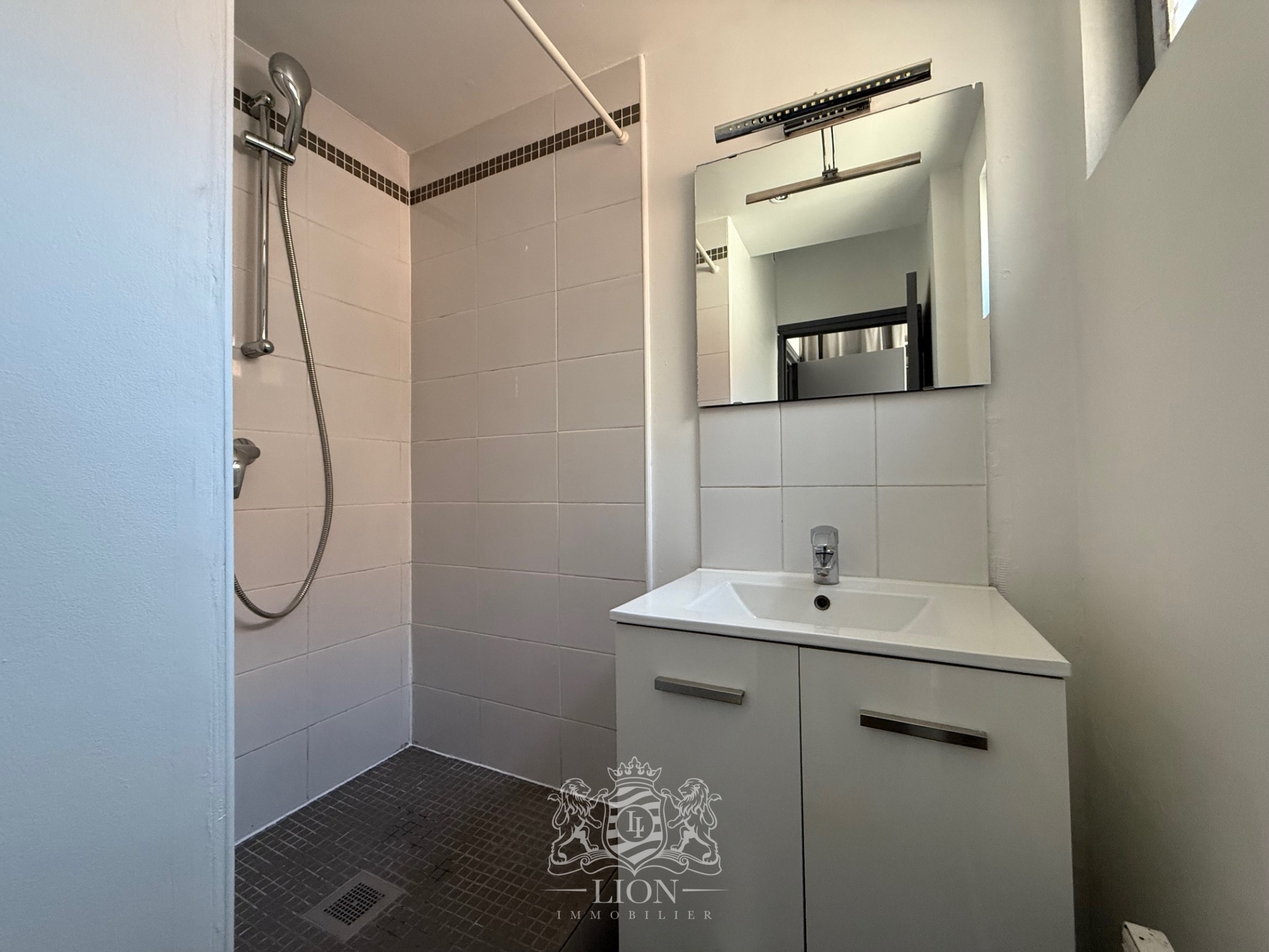 Aozp vieux lille t1 bis avec mezzanine Photo 6 - Le Lion Immobilier