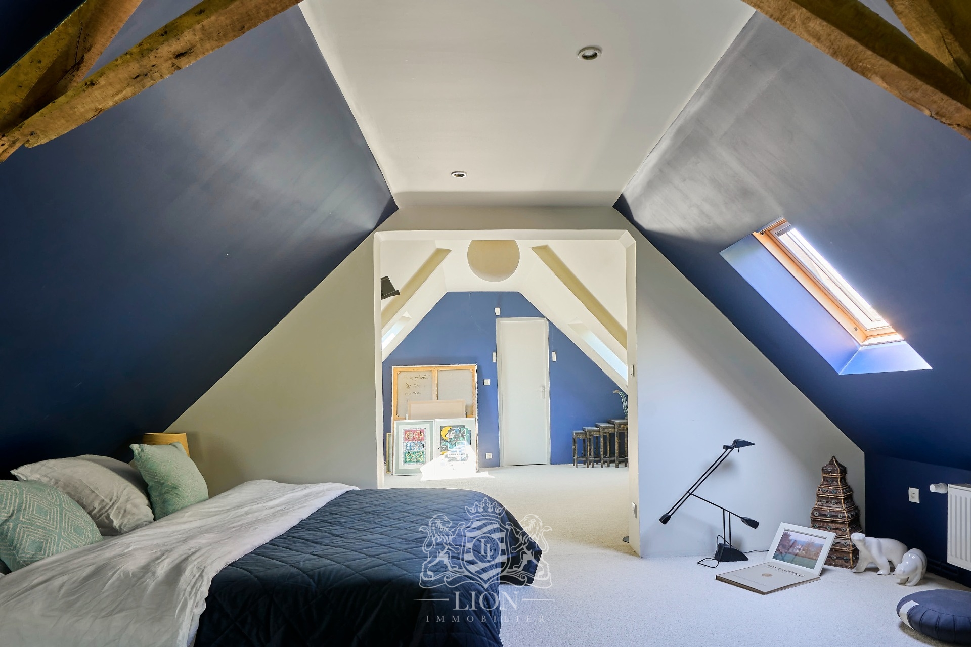 Maison unique sur un terrain de plus de 3500 m2 Photo 9 - Le Lion Immobilier