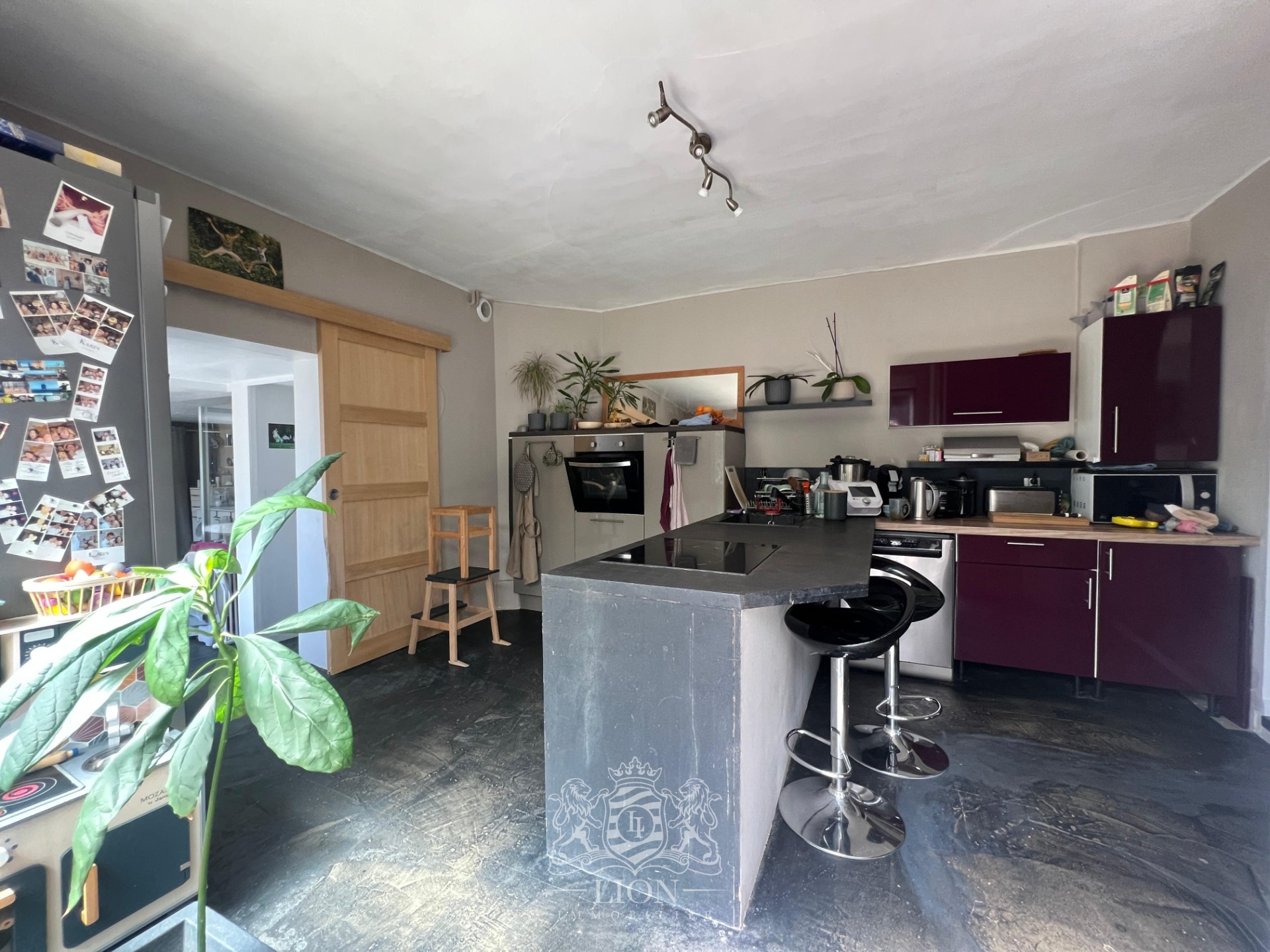 Maison sur parcelle de 1000m2 Photo 4 - Le Lion Immobilier