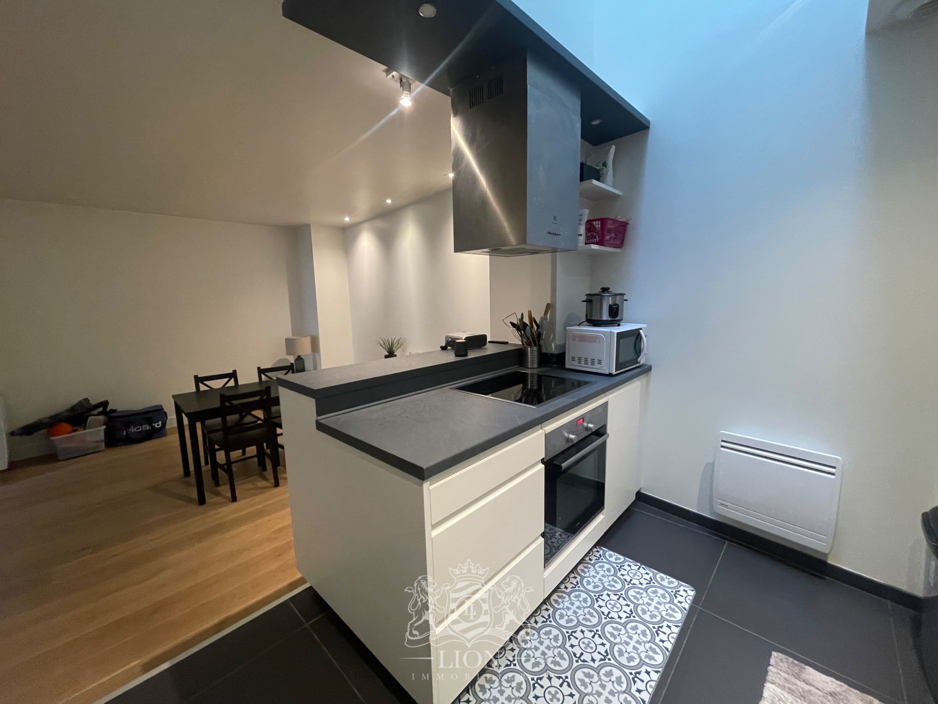 Hyper centre t3 Photo 3 - Le Lion Immobilier