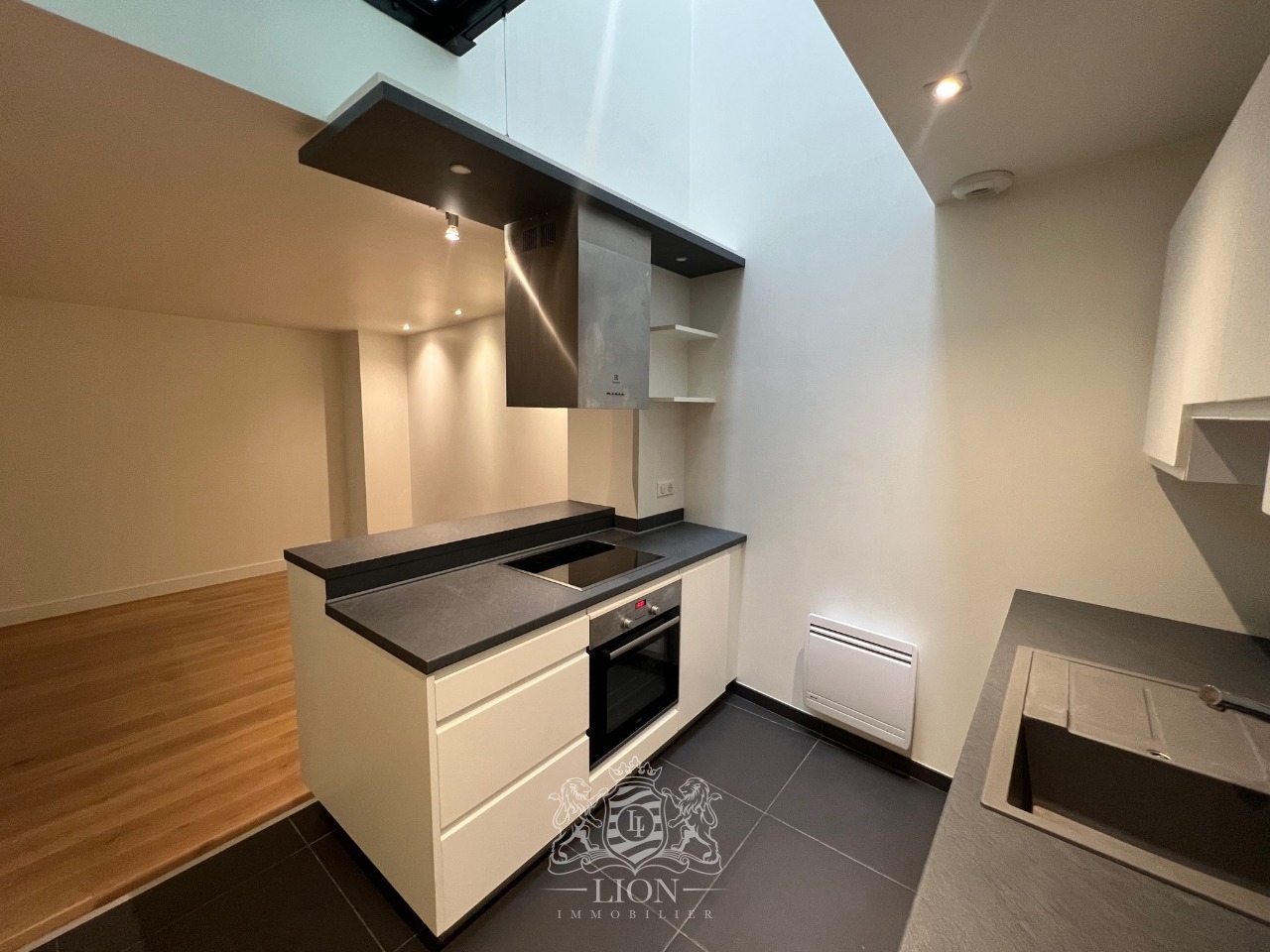 Hyper centre t3 Photo 7 - Le Lion Immobilier