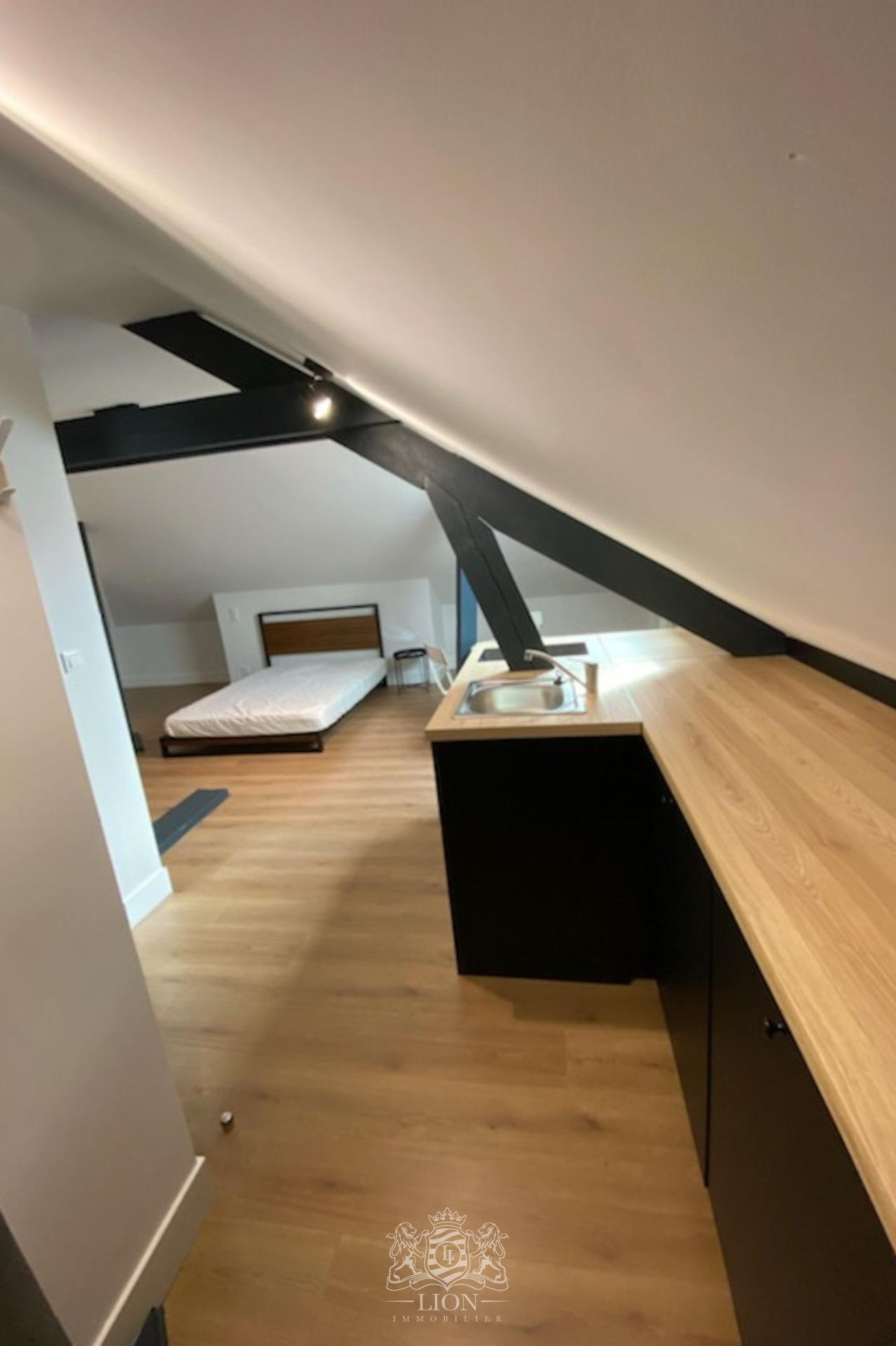 Immeuble de rapport au coeur ascq  Photo 1 - Le Lion Immobilier