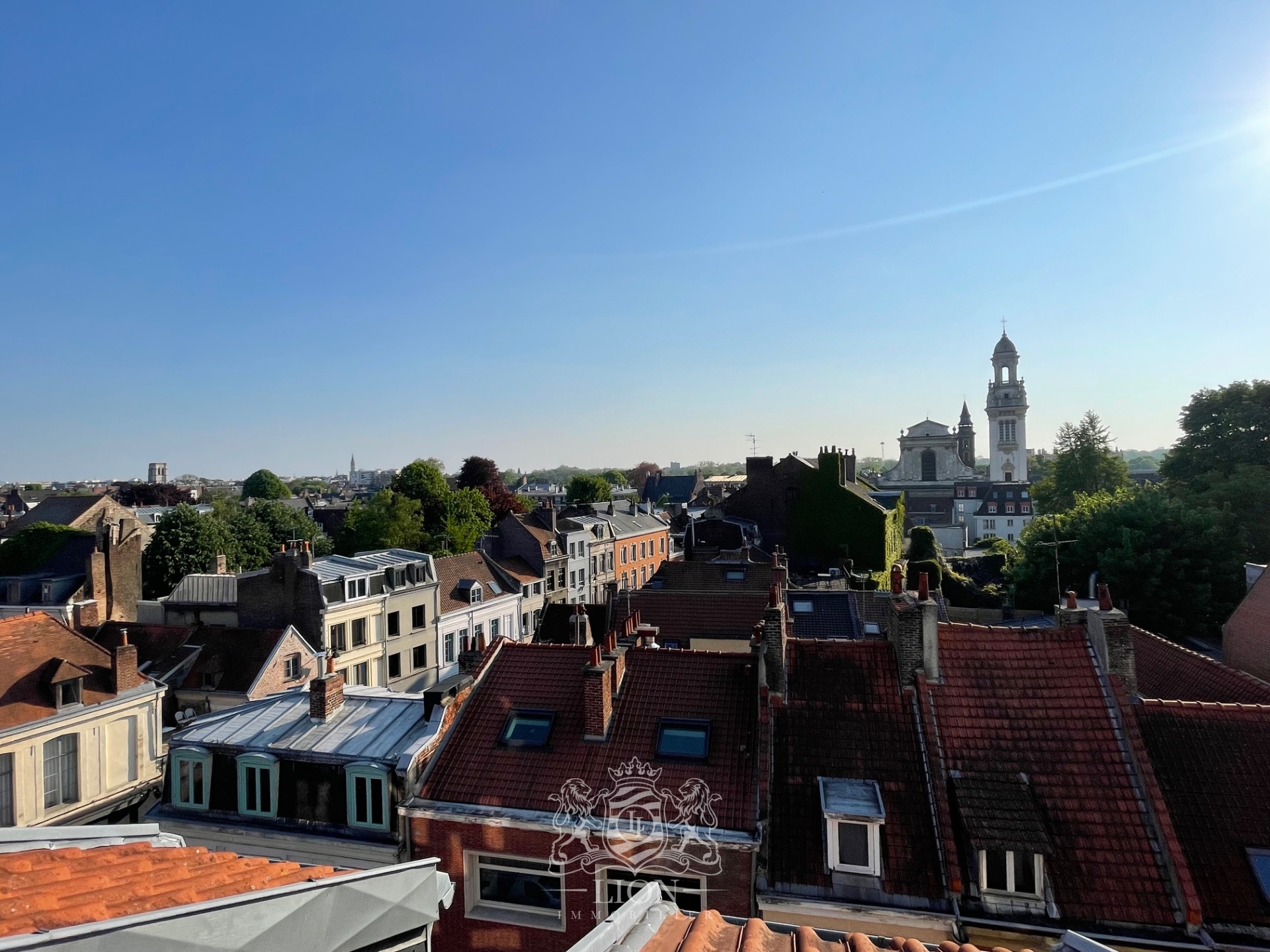 Vieux lille charmant t2 85 m2 au sol Photo 7 - Le Lion Immobilier