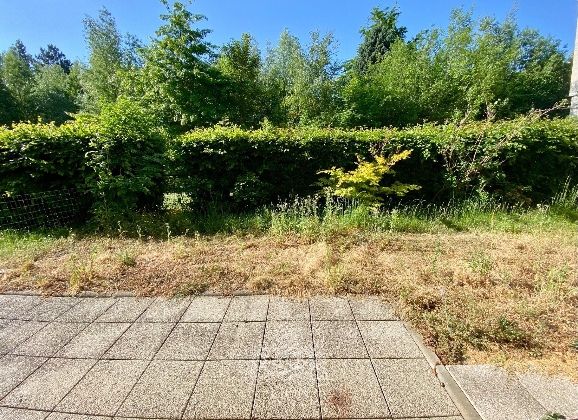 Rez de jardin deux chambres jardin et parking  Photo 7 - Le Lion Immobilier