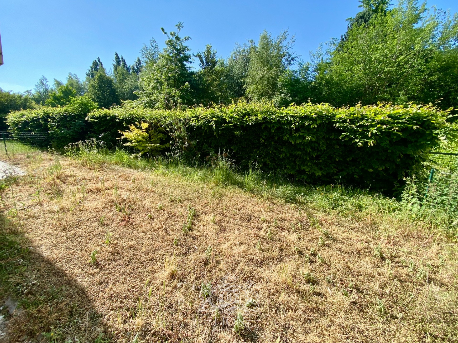 Rez de jardin deux chambres jardin et parking  Photo 8 - Le Lion Immobilier