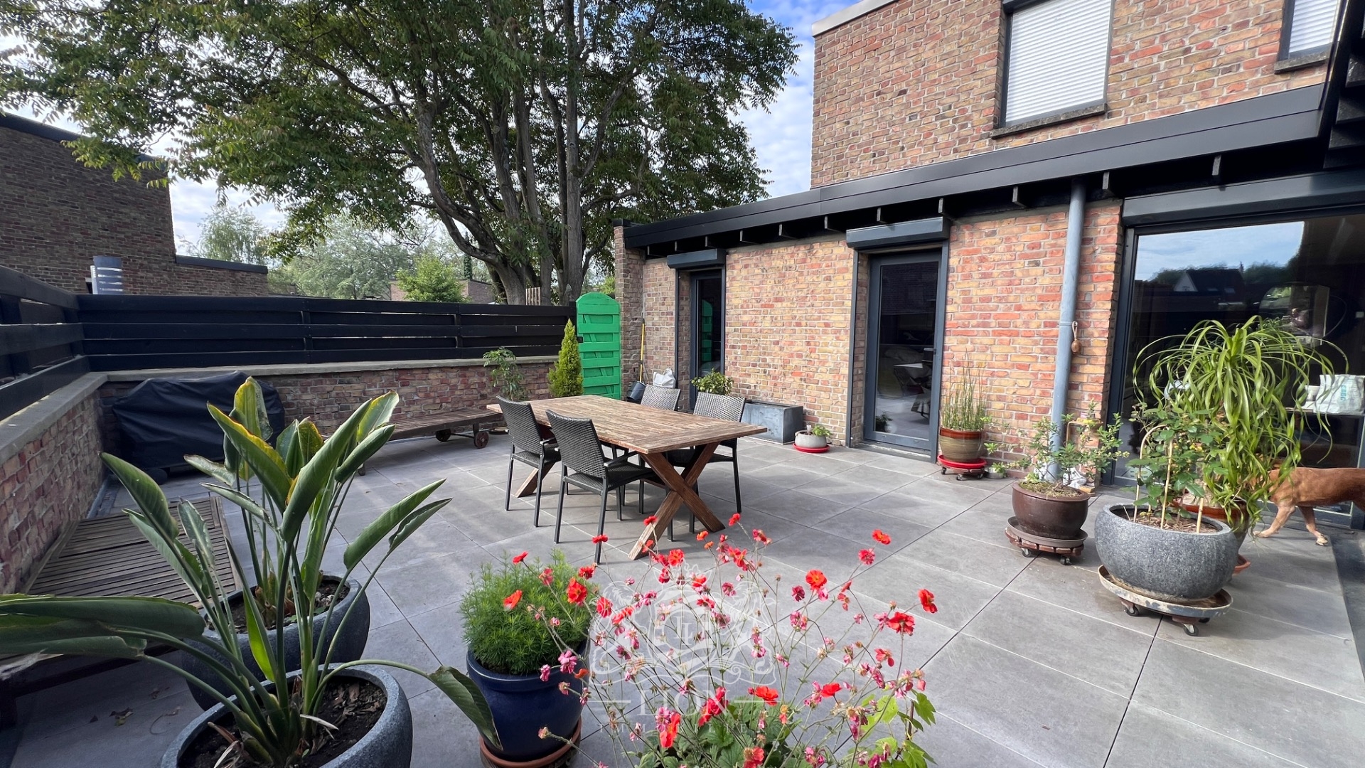 Superbe maison watel avec garage Photo 2 - Le Lion Immobilier