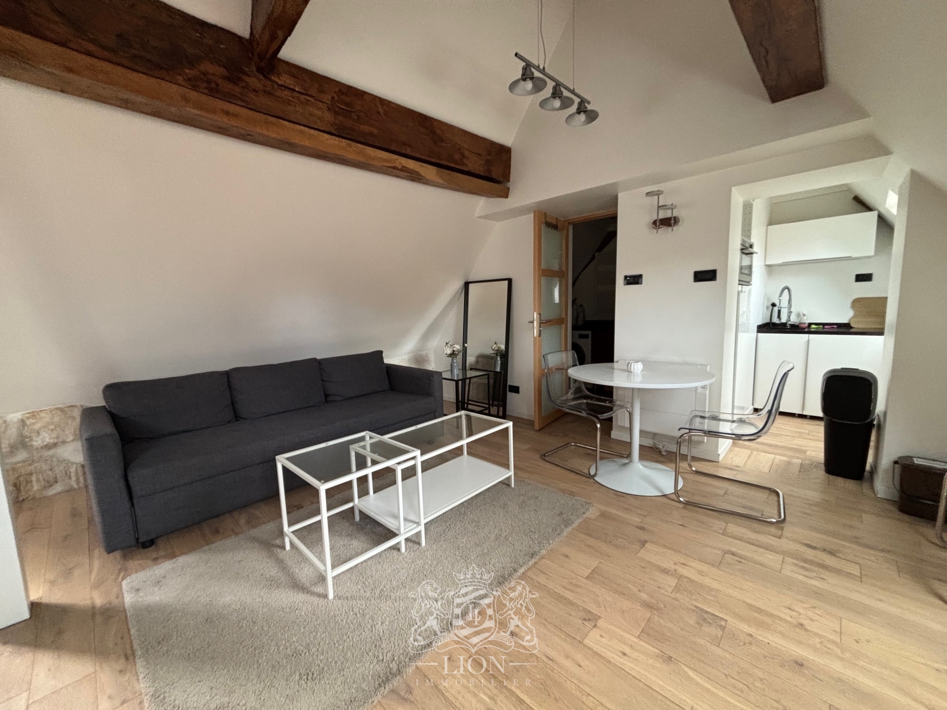 Vieux lille t2 dernier etage Photo 1 - Le Lion Immobilier Vieux lille t2 dernier etage Photo 1 - Le Lion Immobilier