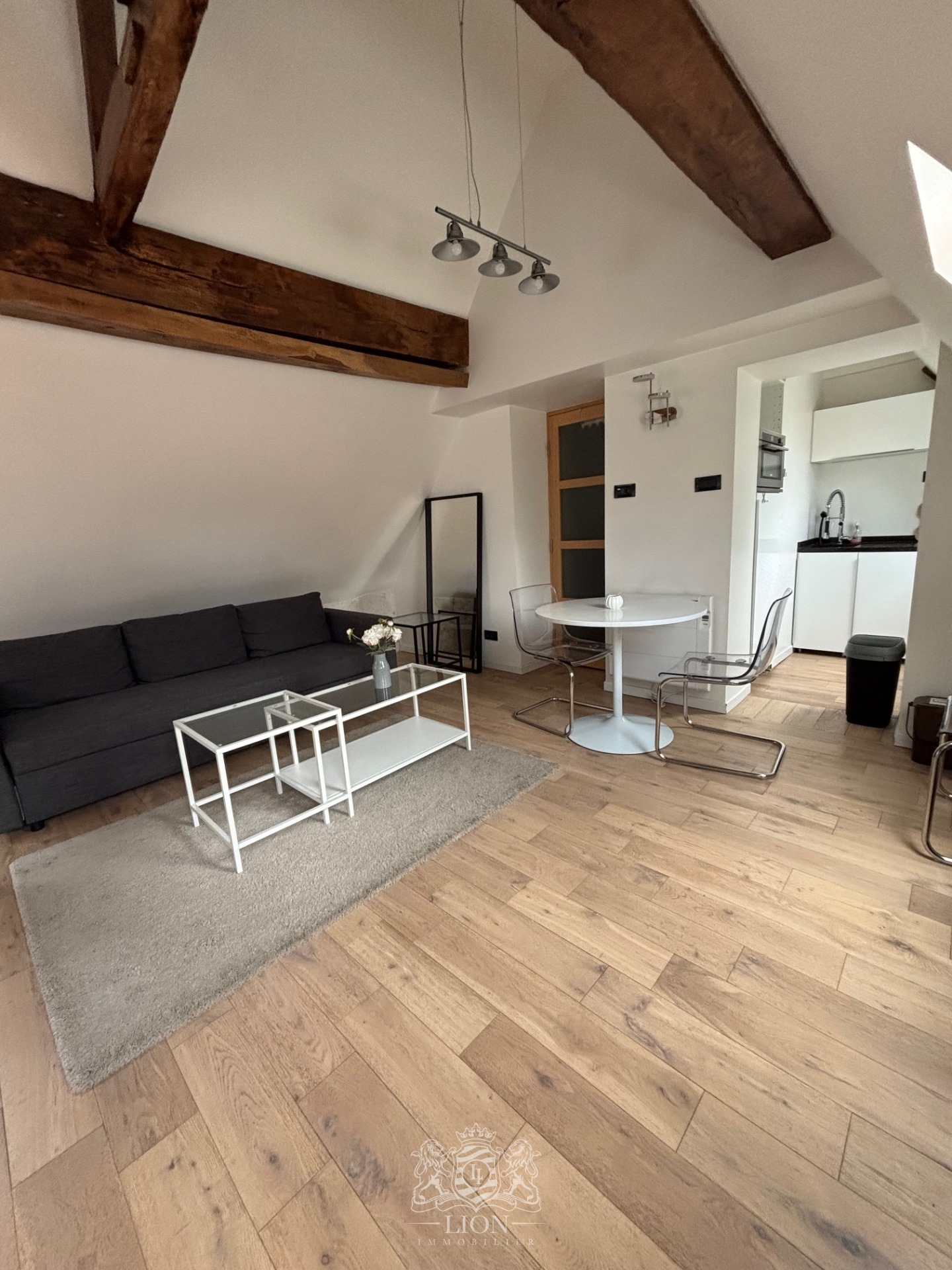 Vieux lille t2 dernier etage Photo 12 - Le Lion Immobilier Vieux lille t2 dernier etage Photo 12 - Le Lion Immobilier