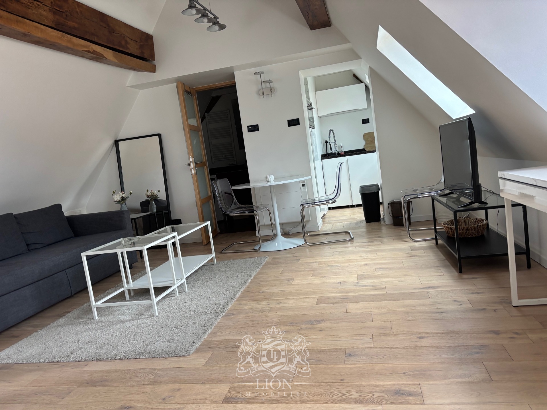 Vieux lille t2 dernier etage Photo 15 - Le Lion Immobilier Vieux lille t2 dernier etage Photo 15 - Le Lion Immobilier