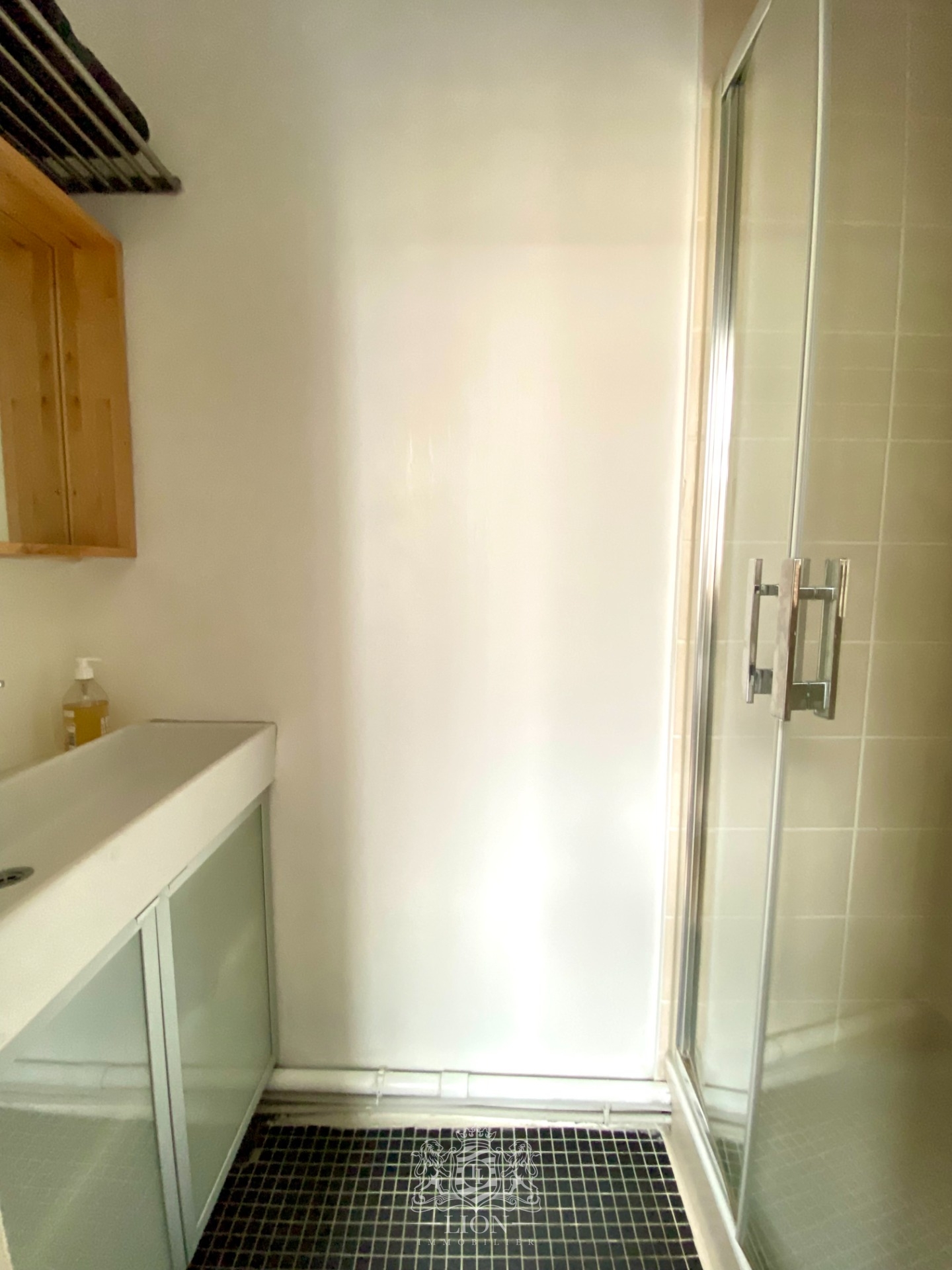 T2 coup de coeur proche grand place et gares vendu meuble  Photo 6 - Le Lion Immobilier