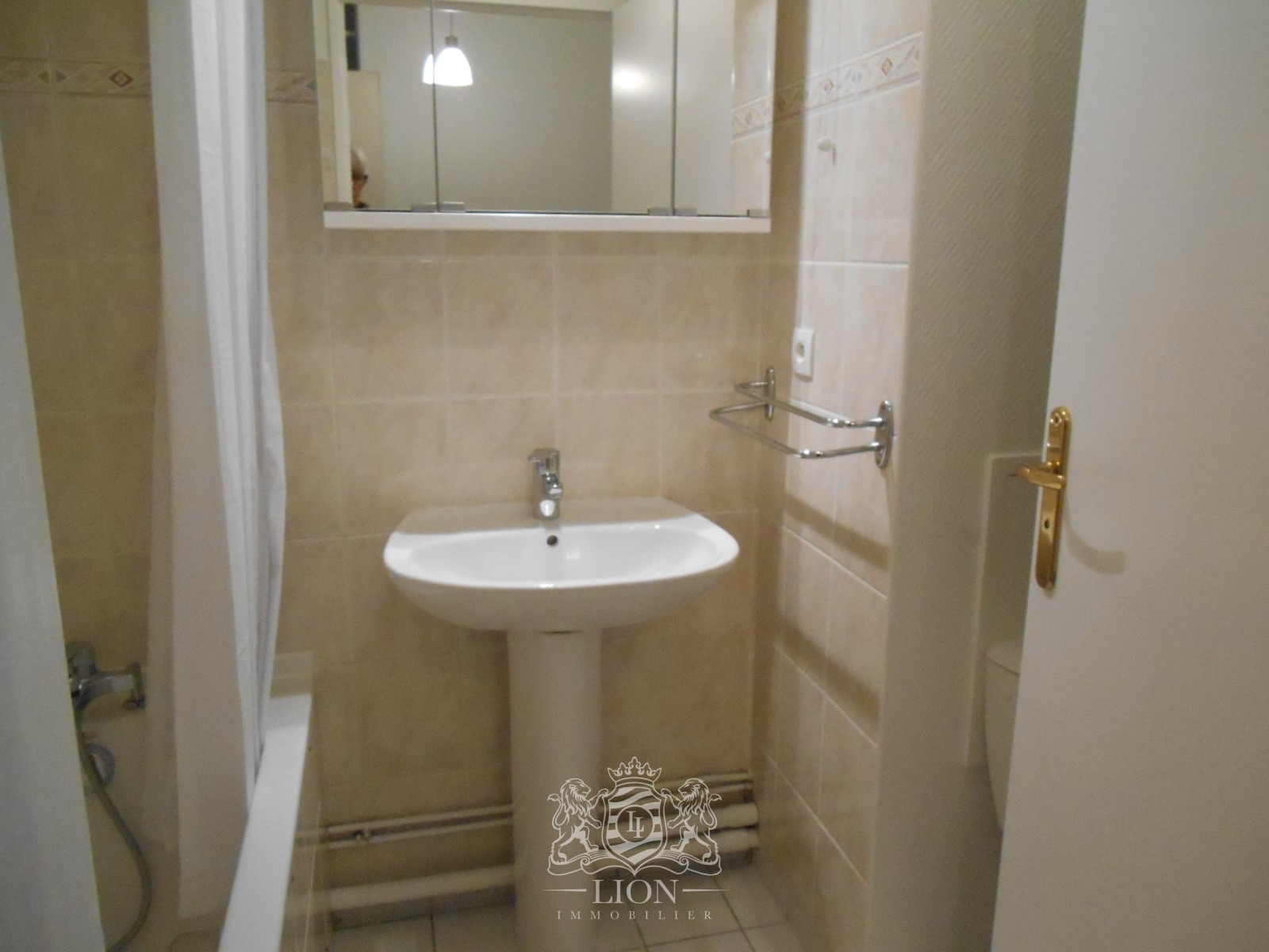 Aptw lambersart t1 non meuble avec cave et parking Photo 4 - Le Lion Immobilier