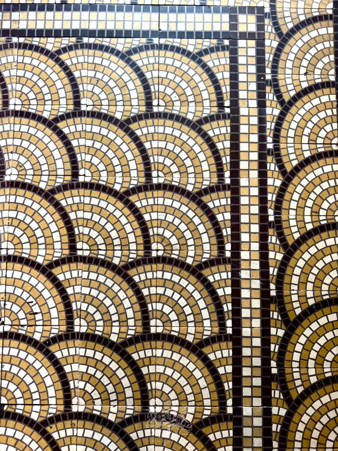 Semi individuelle avec jardin et garage canon d or Photo 5 - Le Lion Immobilier