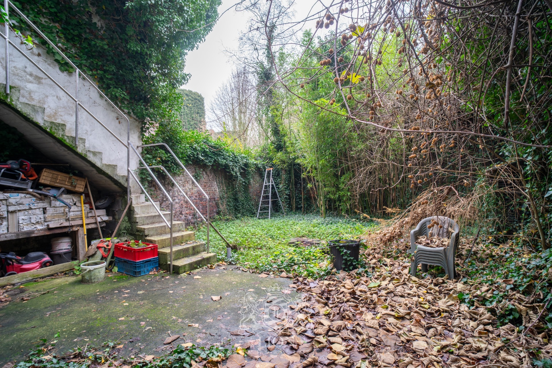 Maison bel etage jardin garage et terrasses vieux lille Photo 3 - Le Lion Immobilier