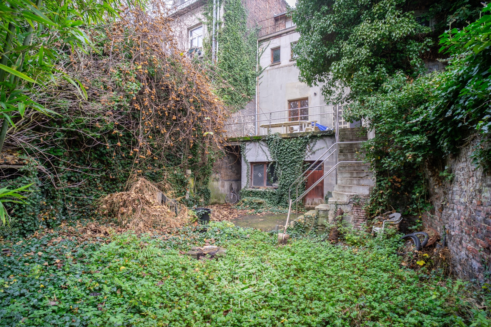 Maison bel etage jardin garage et terrasses vieux lille Photo 4 - Le Lion Immobilier