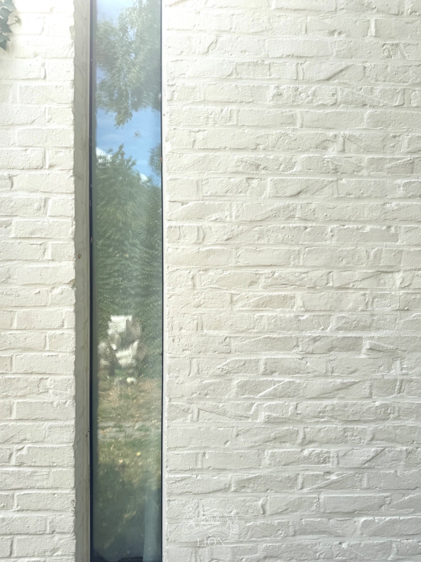 Maison d architecte de plain pied Photo 5 - Le Lion Immobilier