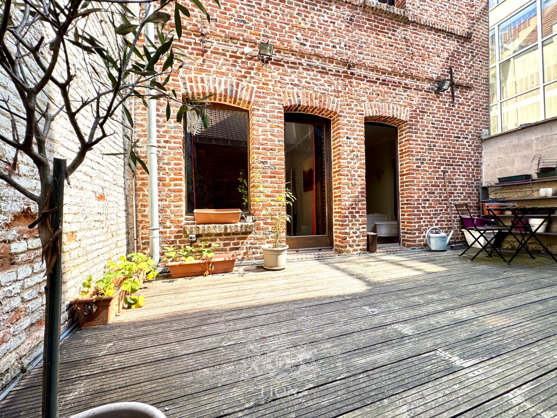 Vieux lille 2 chambres cachet et exterieur Photo 1 - Le Lion Immobilier Vieux lille 2 chambres cachet et exterieur Photo 1 - Le Lion Immobilier