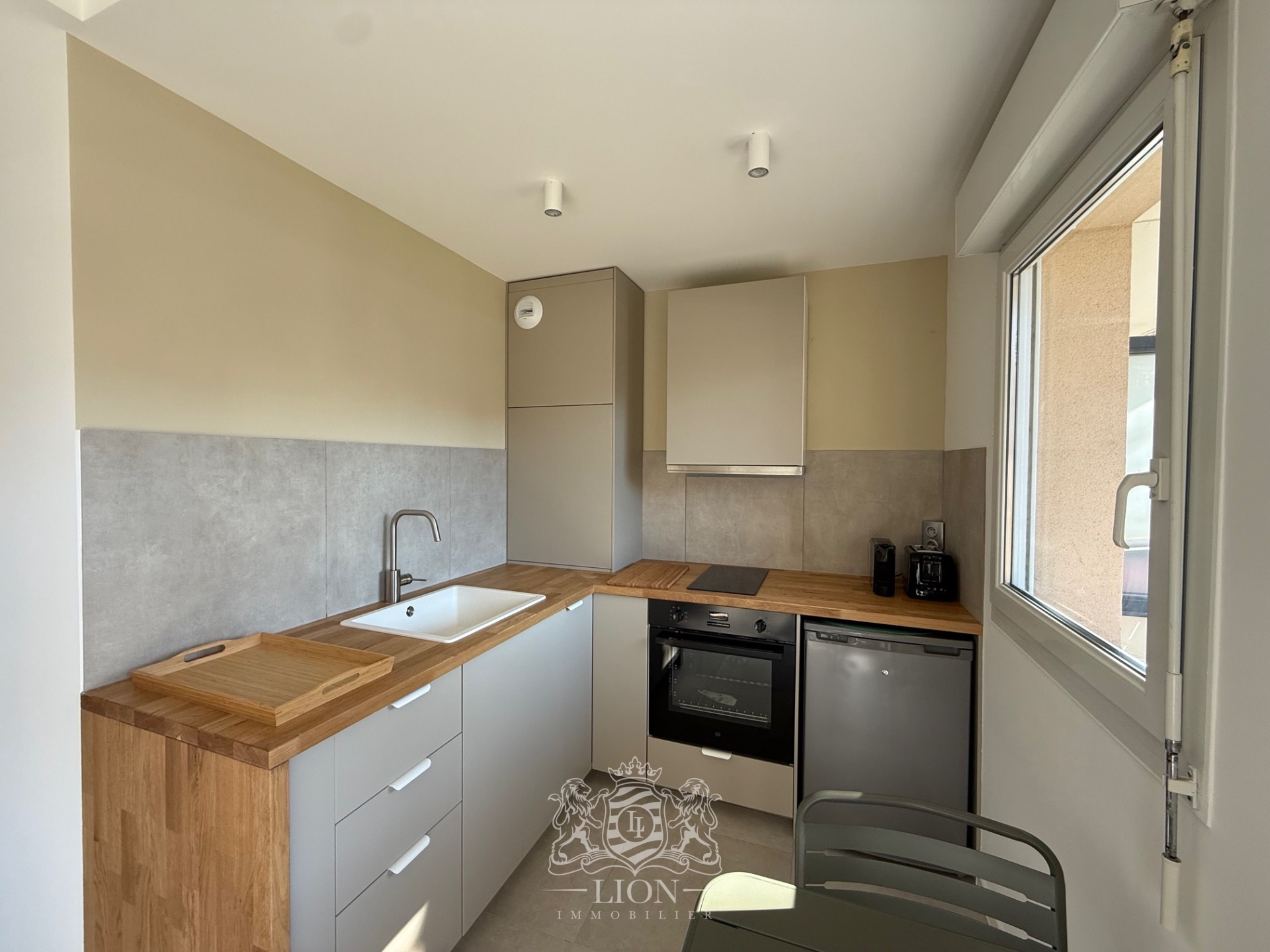 Aqtk vieux lille t1 bis meuble avec terrasse et parking Photo 3 - Le Lion Immobilier