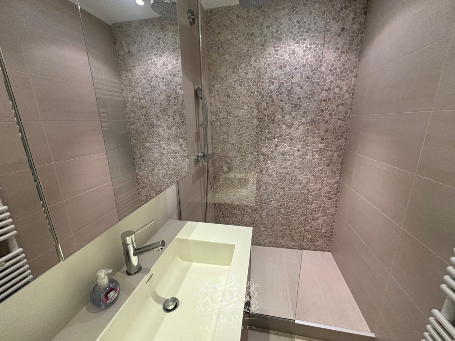 Appartement 4 pieces  107m2 canon d or Photo 6 - Le Lion Immobilier