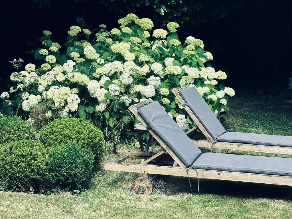 Arhe tourcoing coliving haut de gamme Photo 10 - Le Lion Immobilier