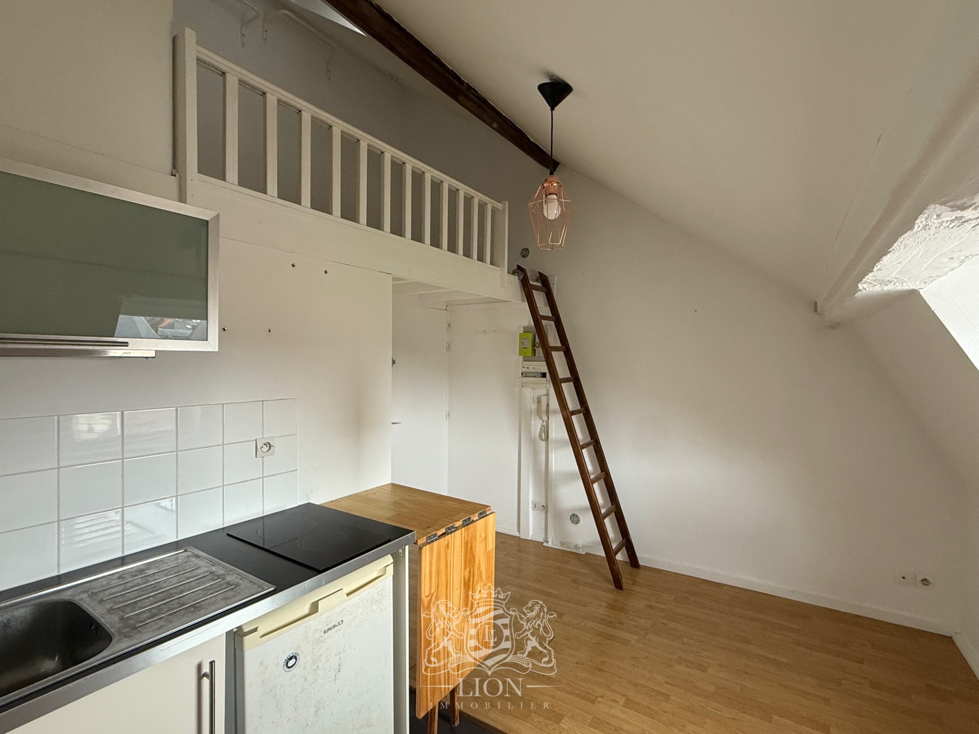 Aroi vieux lille studio non meuble Photo 4 - Le Lion Immobilier Aroi vieux lille studio non meuble Photo 4 - Le Lion Immobilier