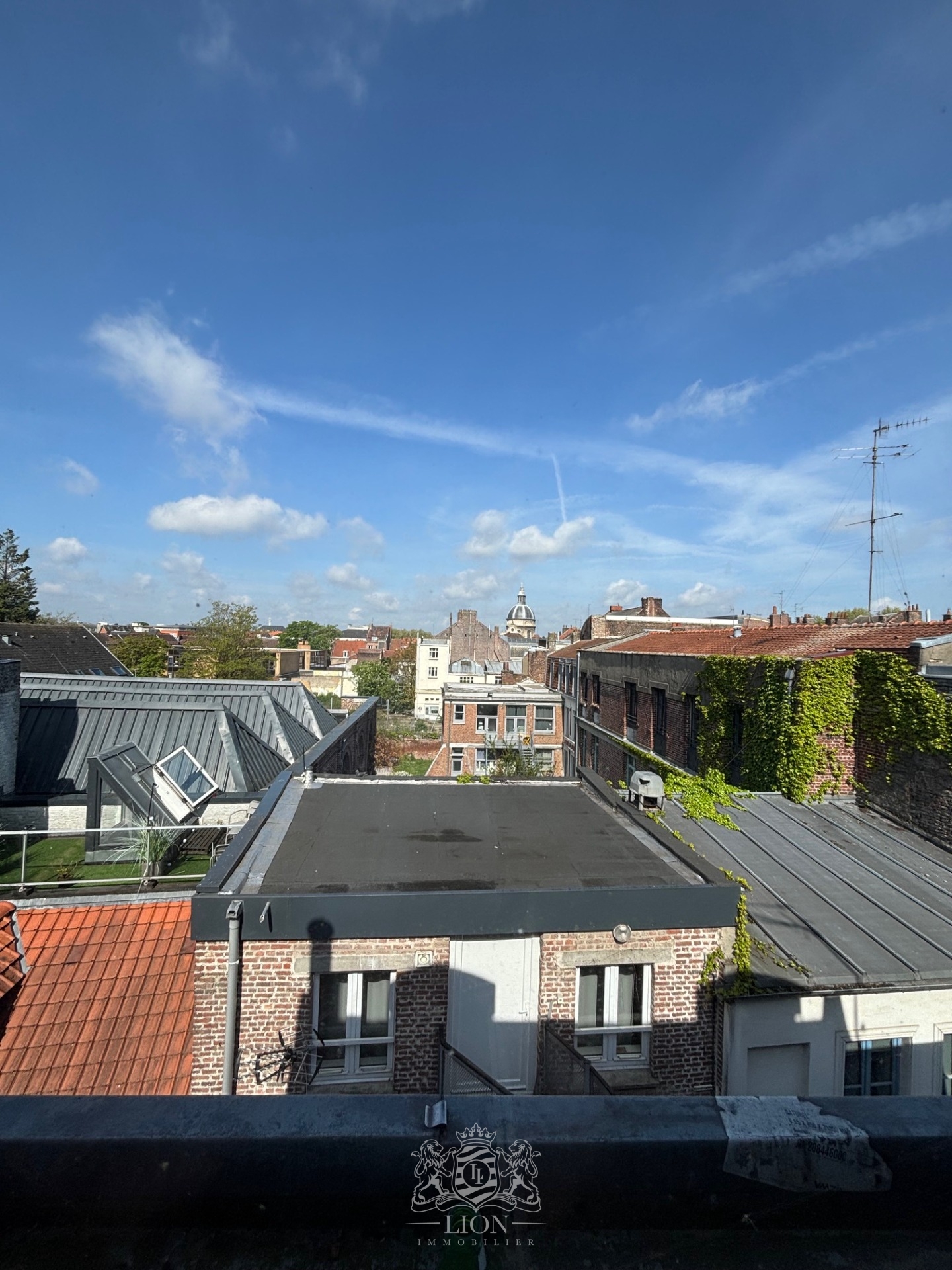 Vieux lille proche porte de gand t1 bis 25m Photo 3 - Le Lion Immobilier Vieux lille proche porte de gand t1 bis 25m Photo 3 - Le Lion Immobilier