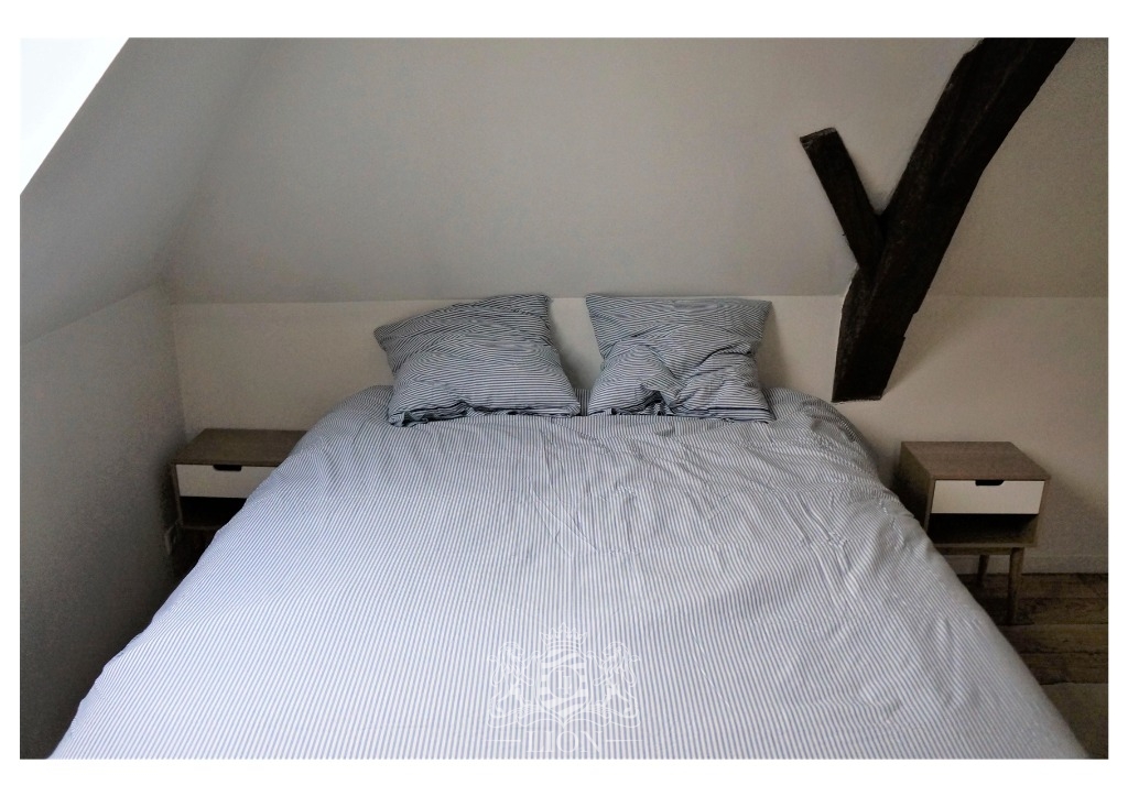 Vieux lille rue de la monnaie appartement duplex  t2 Photo 7 - Le Lion Immobilier