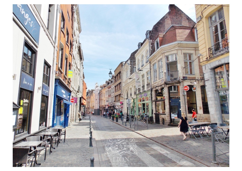 Vieux lille rue de la monnaie appartement duplex  t2 Photo 10 - Le Lion Immobilier