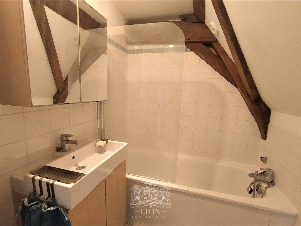 Vieux lille rue de la monnaie appartement duplex  t2 Photo 11 - Le Lion Immobilier