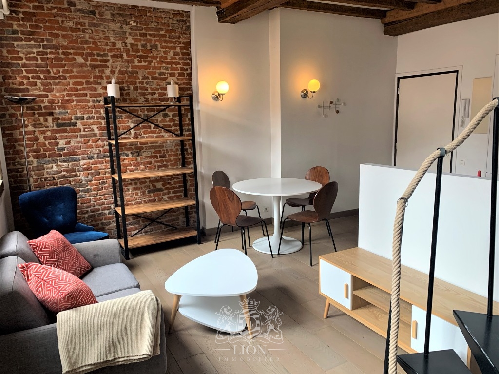 Vieux lille rue de la monnaie appartement duplex  t2 Photo 12 - Le Lion Immobilier