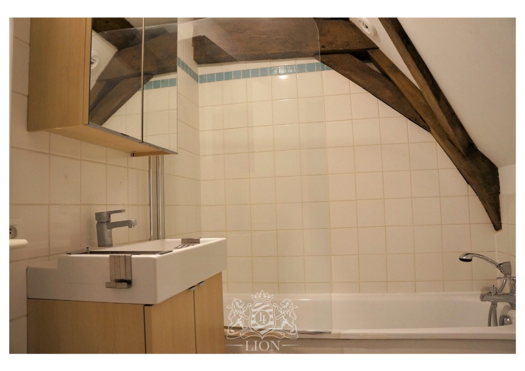 Vieux lille rue de la monnaie appartement duplex  t2 Photo 13 - Le Lion Immobilier