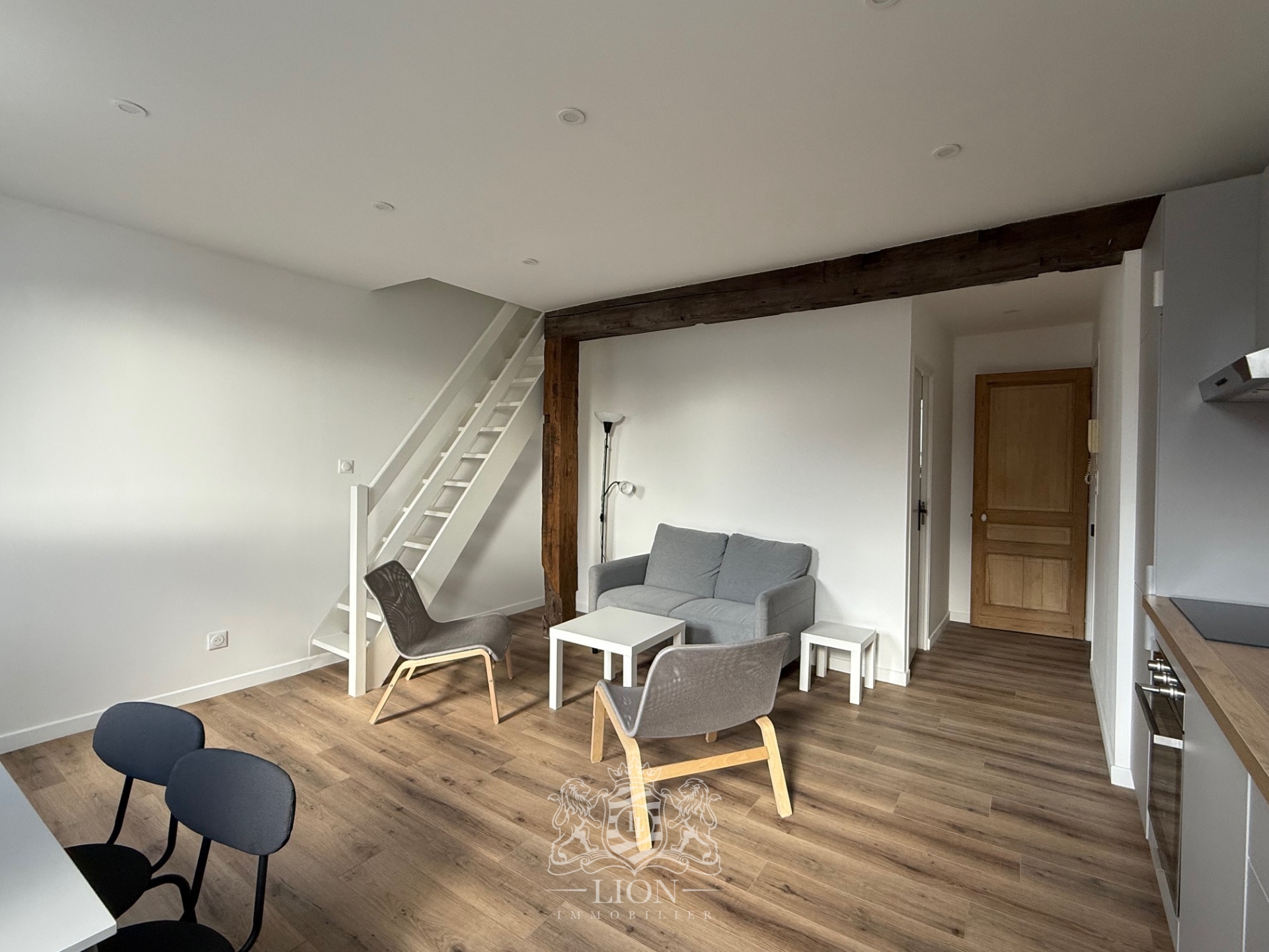 Arso vieux lille t3 meuble Photo 3 - Le Lion Immobilier Arso vieux lille t3 meuble Photo 3 - Le Lion Immobilier