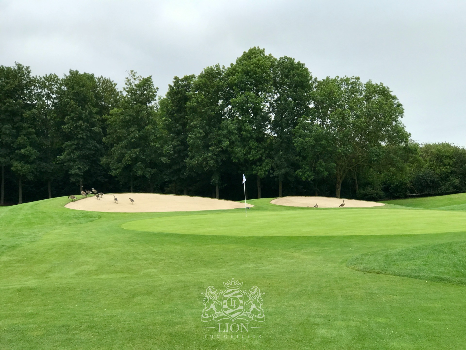 Villa sur golf de brigode 5 chambres Photo 3 - Le Lion Immobilier