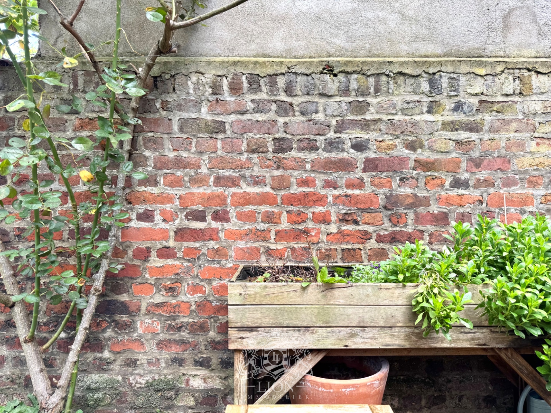 Charme et confort la madeleine saint maur Photo 5 - Le Lion Immobilier Charme et confort la madeleine saint maur Photo 5 - Le Lion Immobilier