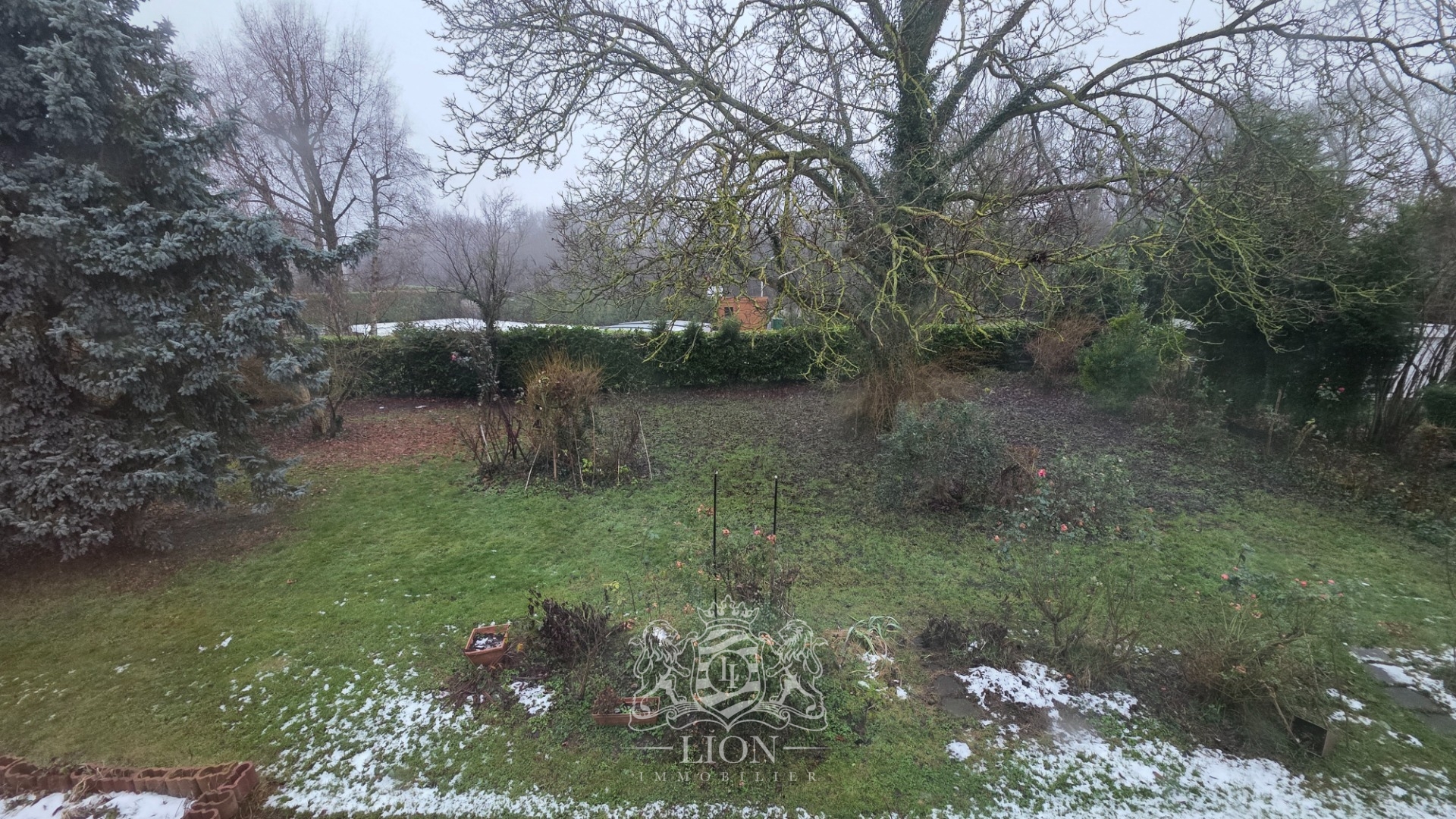 Potentiel grande maison familiale sur parc arbore Photo 2 - Le Lion Immobilier