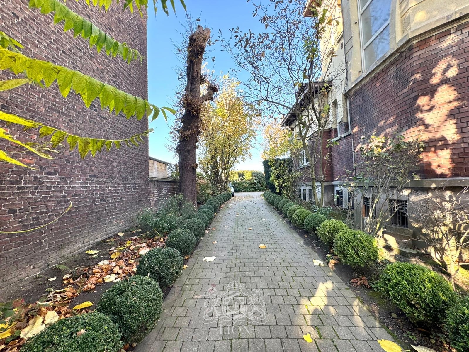 Maison de caractere au cachet preserve Photo 11 - Le Lion Immobilier Maison de caractere au cachet preserve Photo 11 - Le Lion Immobilier