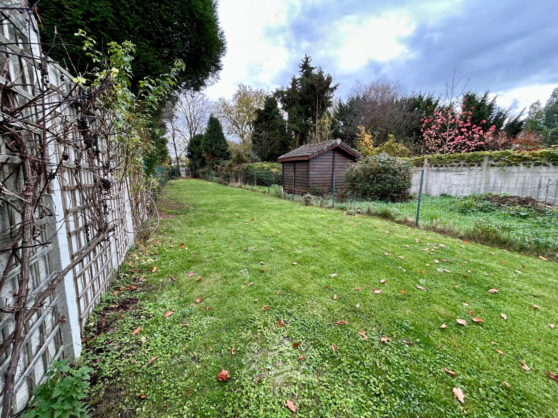 Maison semi individuelle avec grand terrain au canon d or Photo 3 - Le Lion Immobilier Maison semi individuelle avec grand terrain au canon d or Photo 3 - Le Lion Immobilier