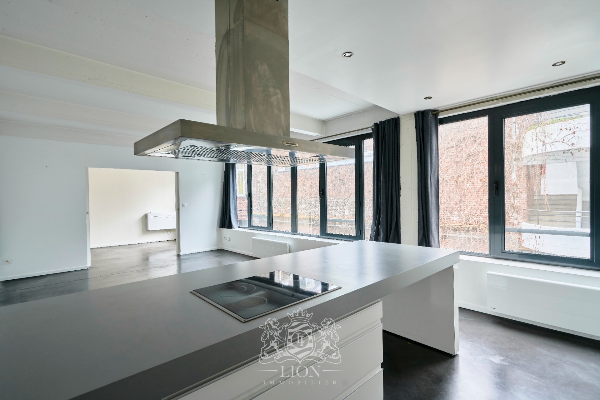 Appartement 2 chambres esprit loft et parking Photo 4 - Le Lion Immobilier