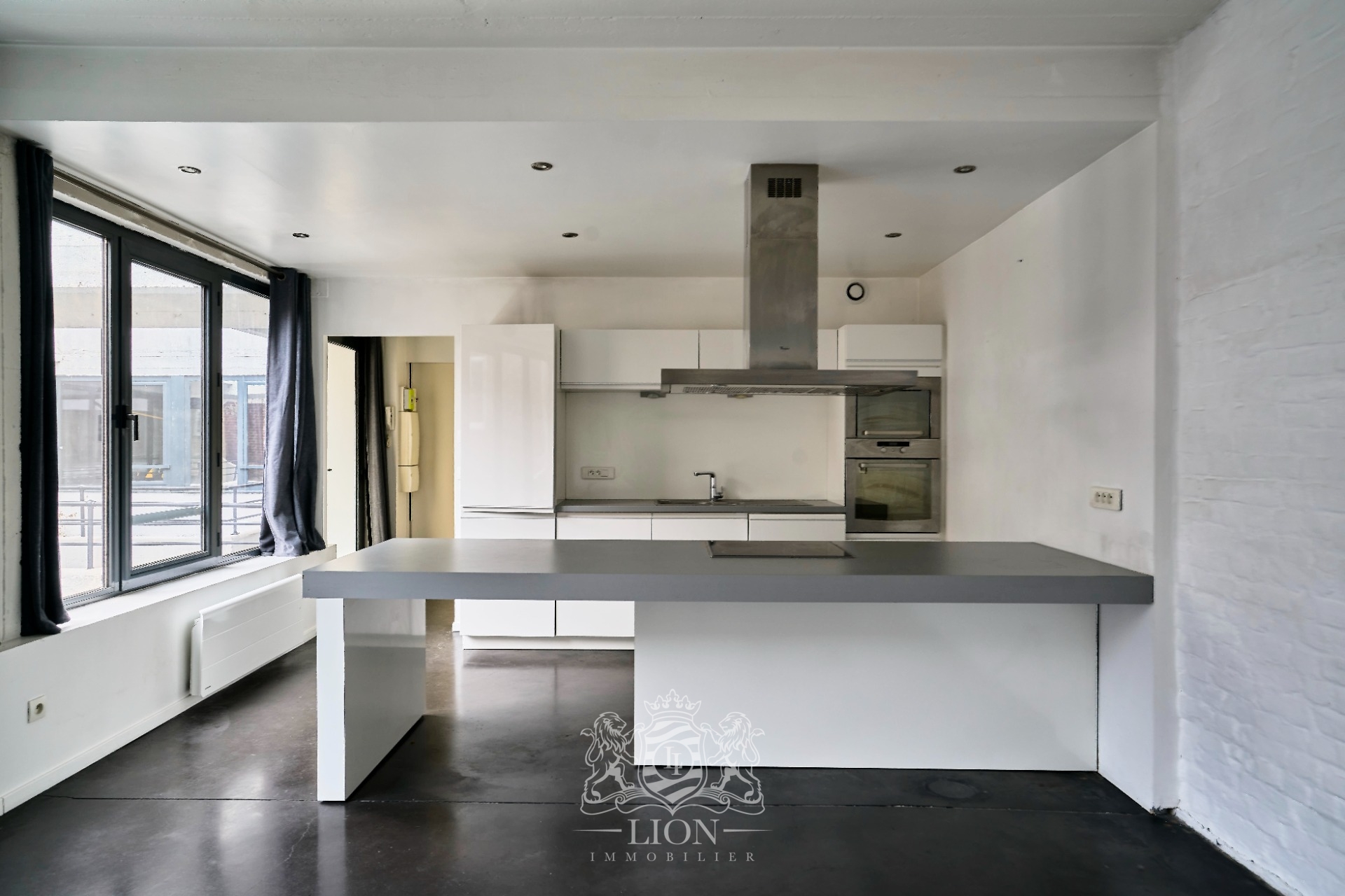 Appartement 2 chambres esprit loft et parking Photo 7 - Le Lion Immobilier