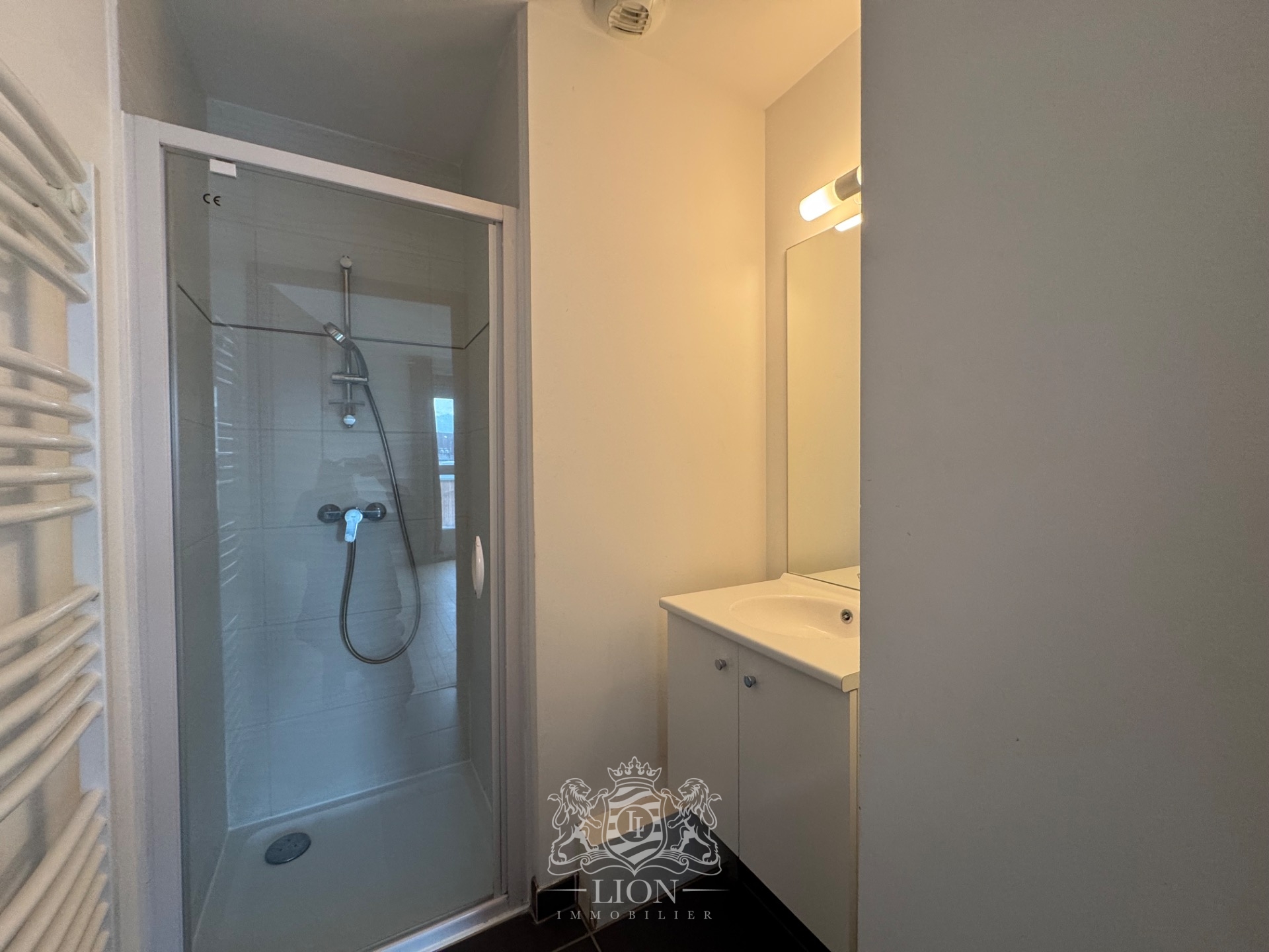 Superbe t2 entre vieux lille et centre Photo 4 - Le Lion Immobilier Superbe t2 entre vieux lille et centre Photo 4 - Le Lion Immobilier