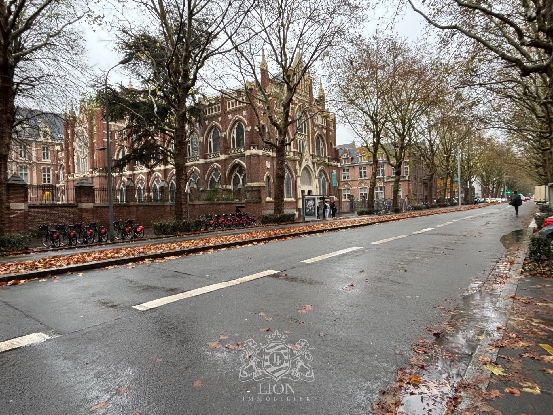 Lille vauban face catho f1 bis 35m Photo 5 - Le Lion Immobilier Lille vauban face catho f1 bis 35m Photo 5 - Le Lion Immobilier
