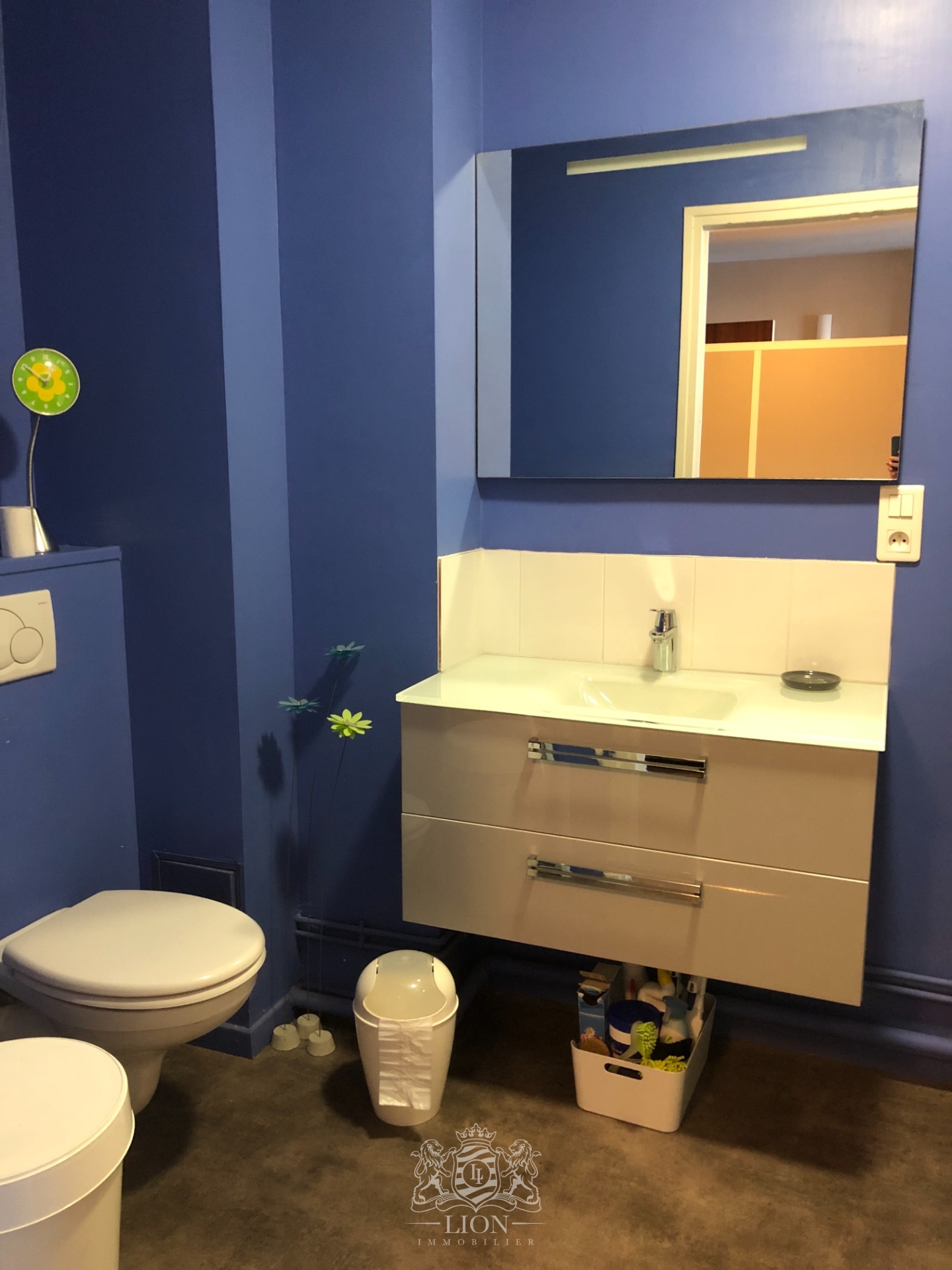 Lille vauban face catho  f1 bis 35m Photo 9 - Le Lion Immobilier